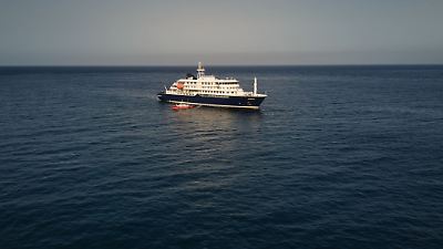 Hantavirus-Ausbruch auf Kreuzfahrtschiff ‚Hondius‘: Ursprung nicht in Feuerland