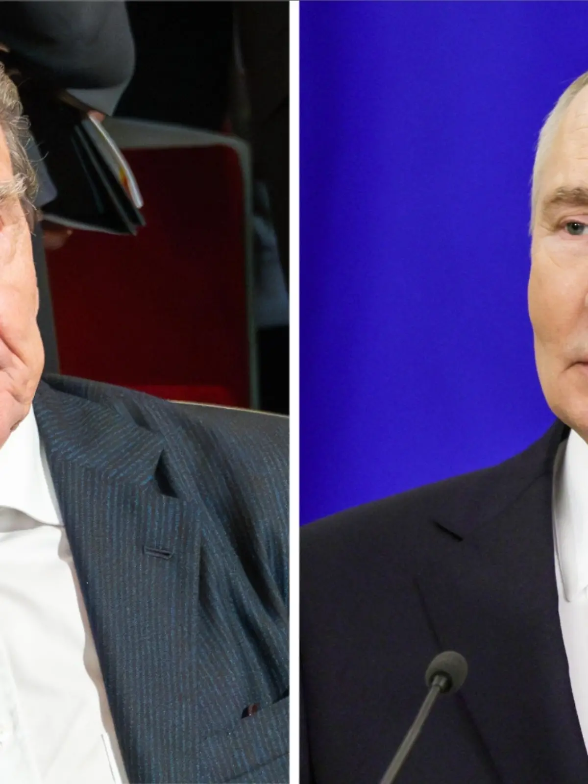Bild zu: "Putin will Ex-Kanzler Schröder als Vermittler"
