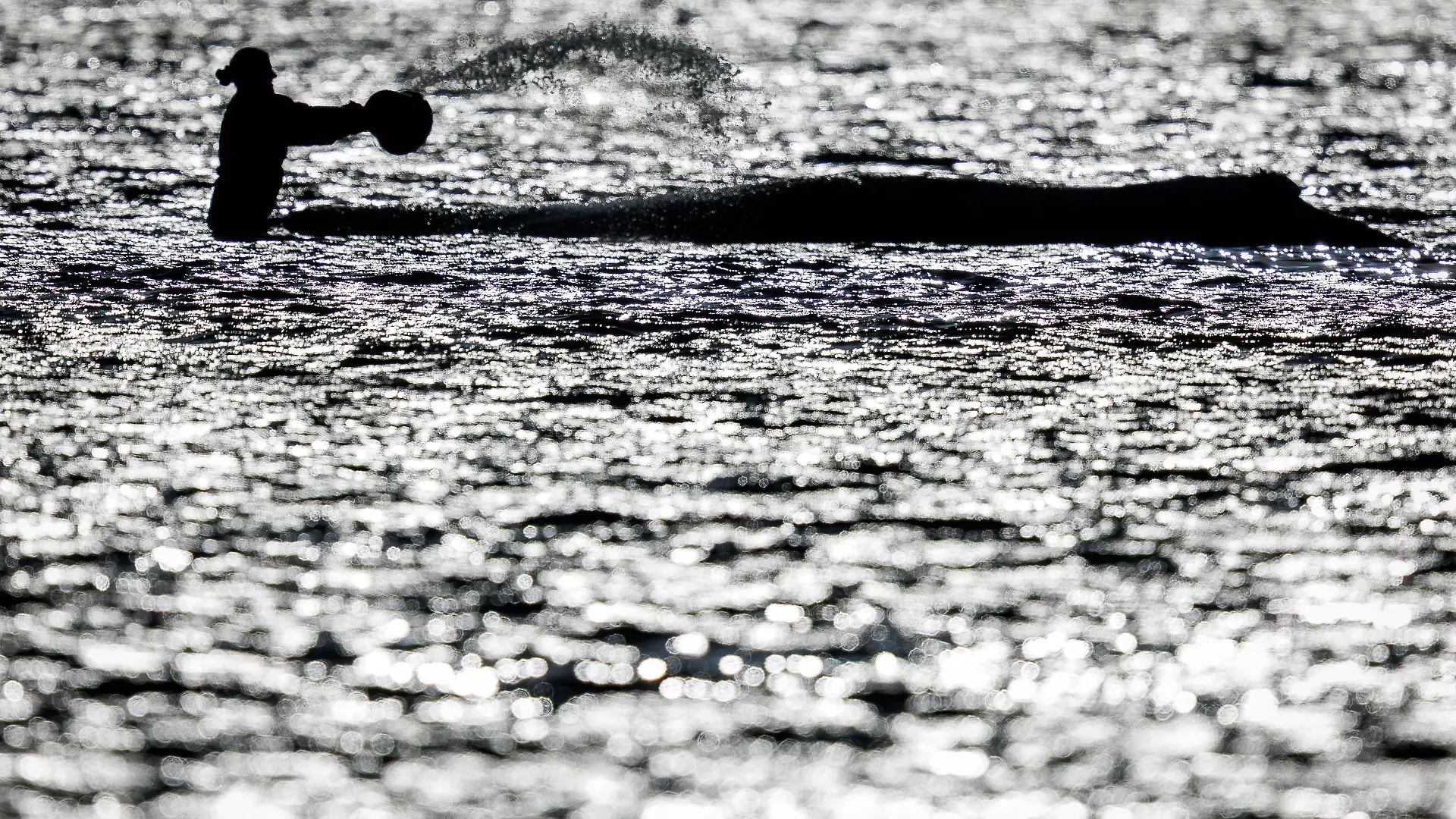 Eine Helferin bespritzt am Abend den Buckelwal vor der Insel Poel und ist im Gegenlicht zu sehen. (zu dpa: «Timmy, ein Rettungsmärchen – Was bleibt vom Wal-Trubel?») +++ dpa-Bildfunk +++