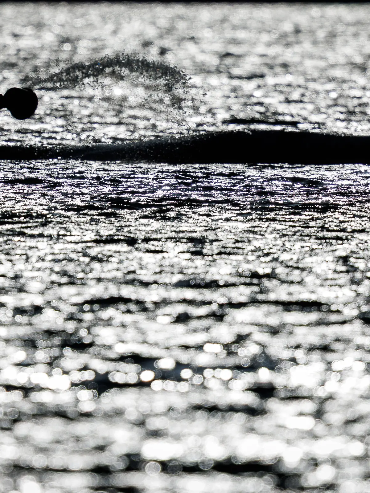 Eine Helferin bespritzt am Abend den Buckelwal vor der Insel Poel und ist im Gegenlicht zu sehen. (zu dpa: «Timmy, ein Rettungsmärchen – Was bleibt vom Wal-Trubel?») +++ dpa-Bildfunk +++