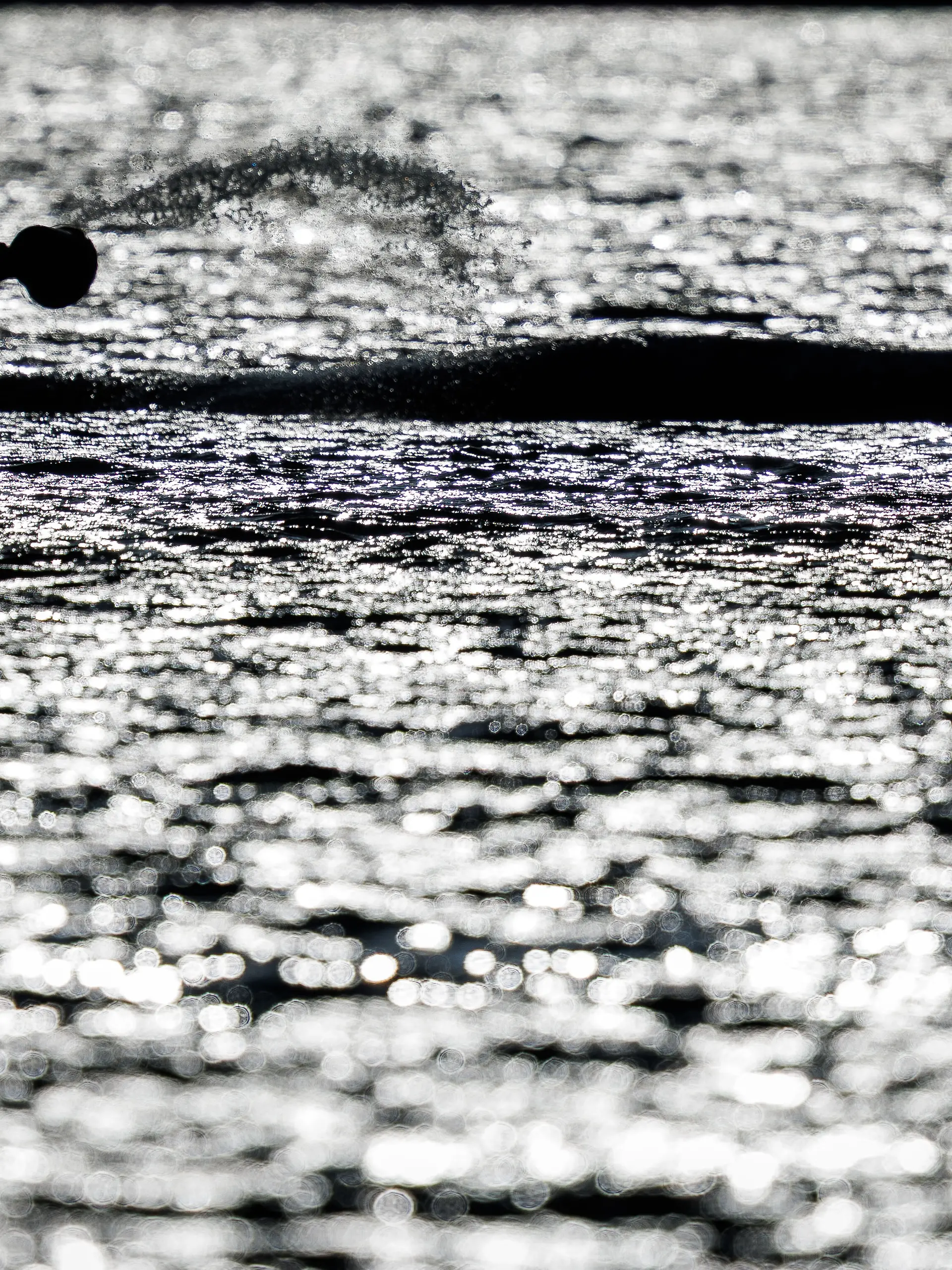 Eine Helferin bespritzt am Abend den Buckelwal vor der Insel Poel und ist im Gegenlicht zu sehen. (zu dpa: «Timmy, ein Rettungsmärchen – Was bleibt vom Wal-Trubel?») +++ dpa-Bildfunk +++