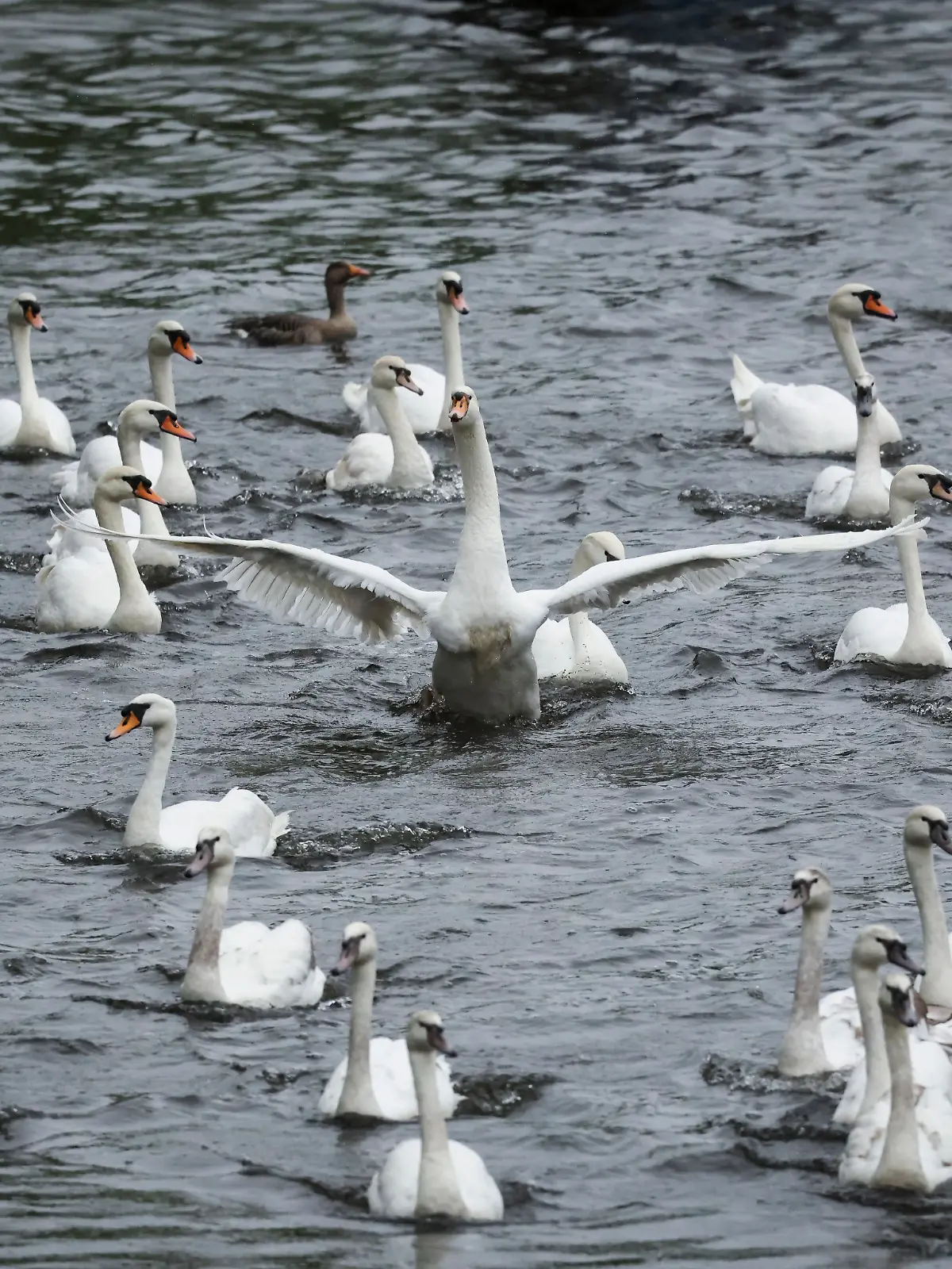 Bild zu: "Jetzt ist wirklich Frühling in Hamburg"