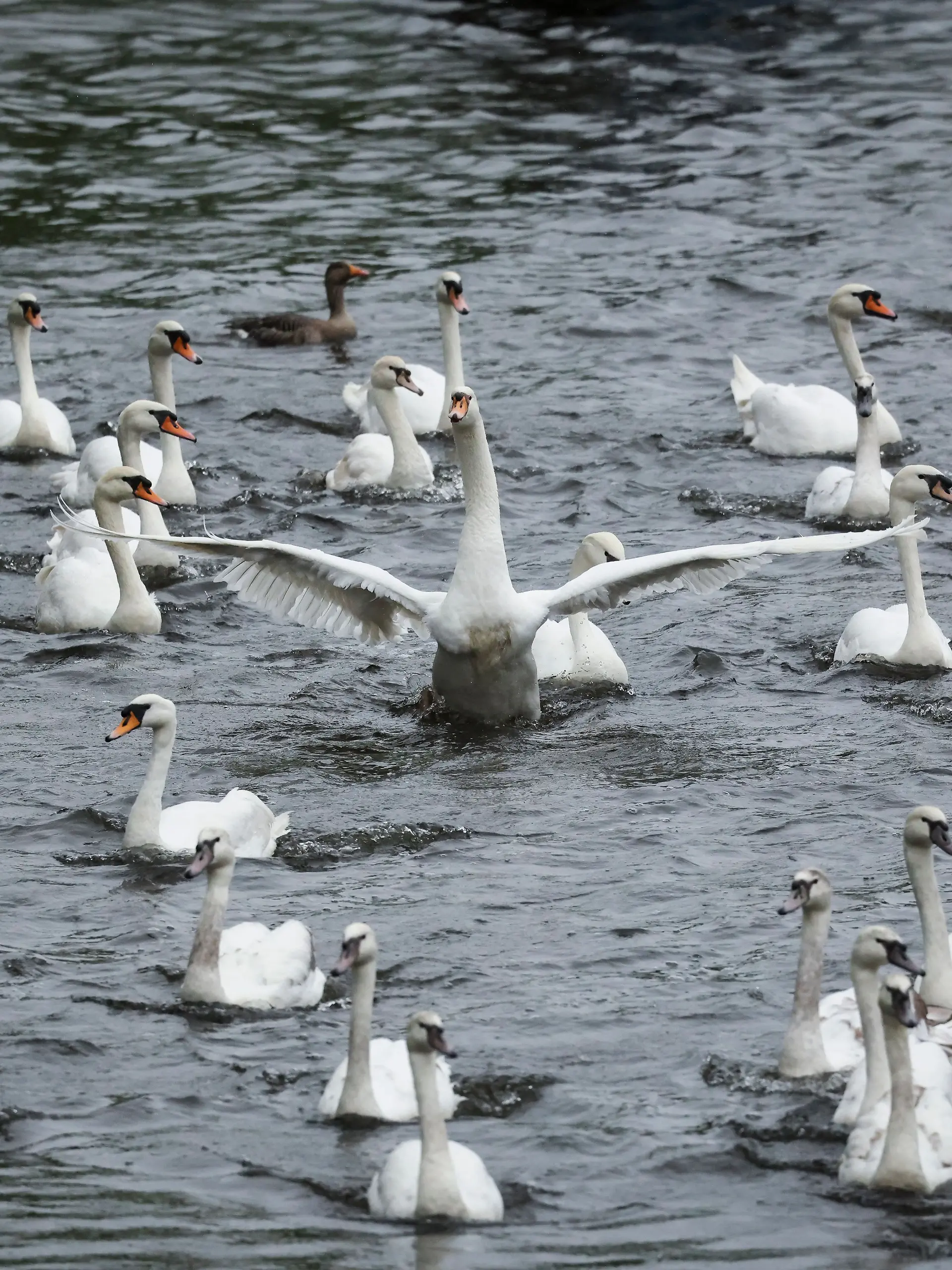 Bild zu: "Jetzt ist wirklich Frühling in Hamburg"