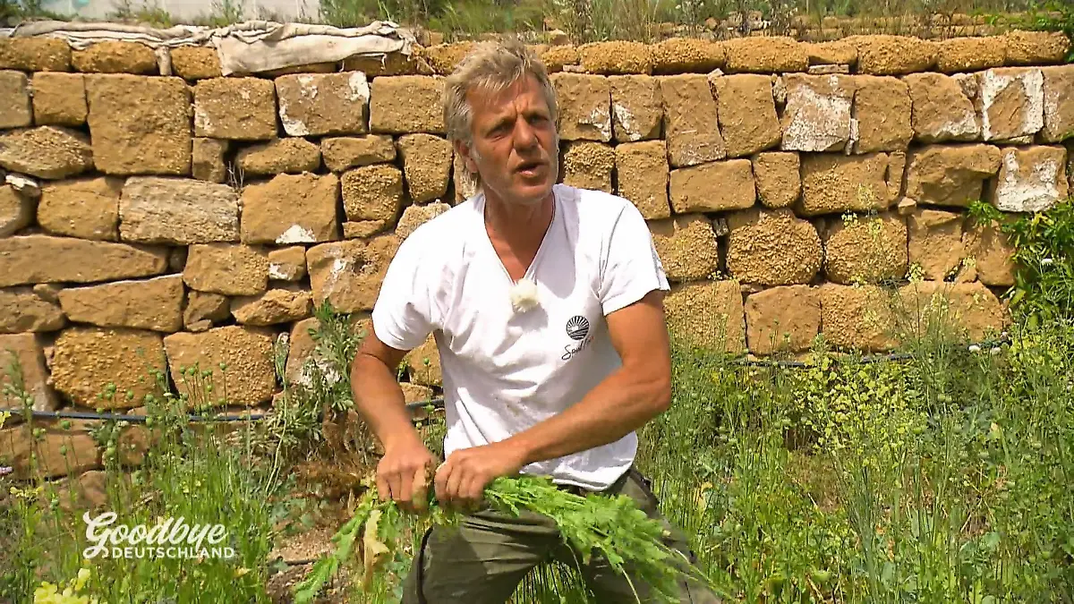 Heizungsbauer André kämpft für seinen Traum Bio-Oase im Süden Teneriffas