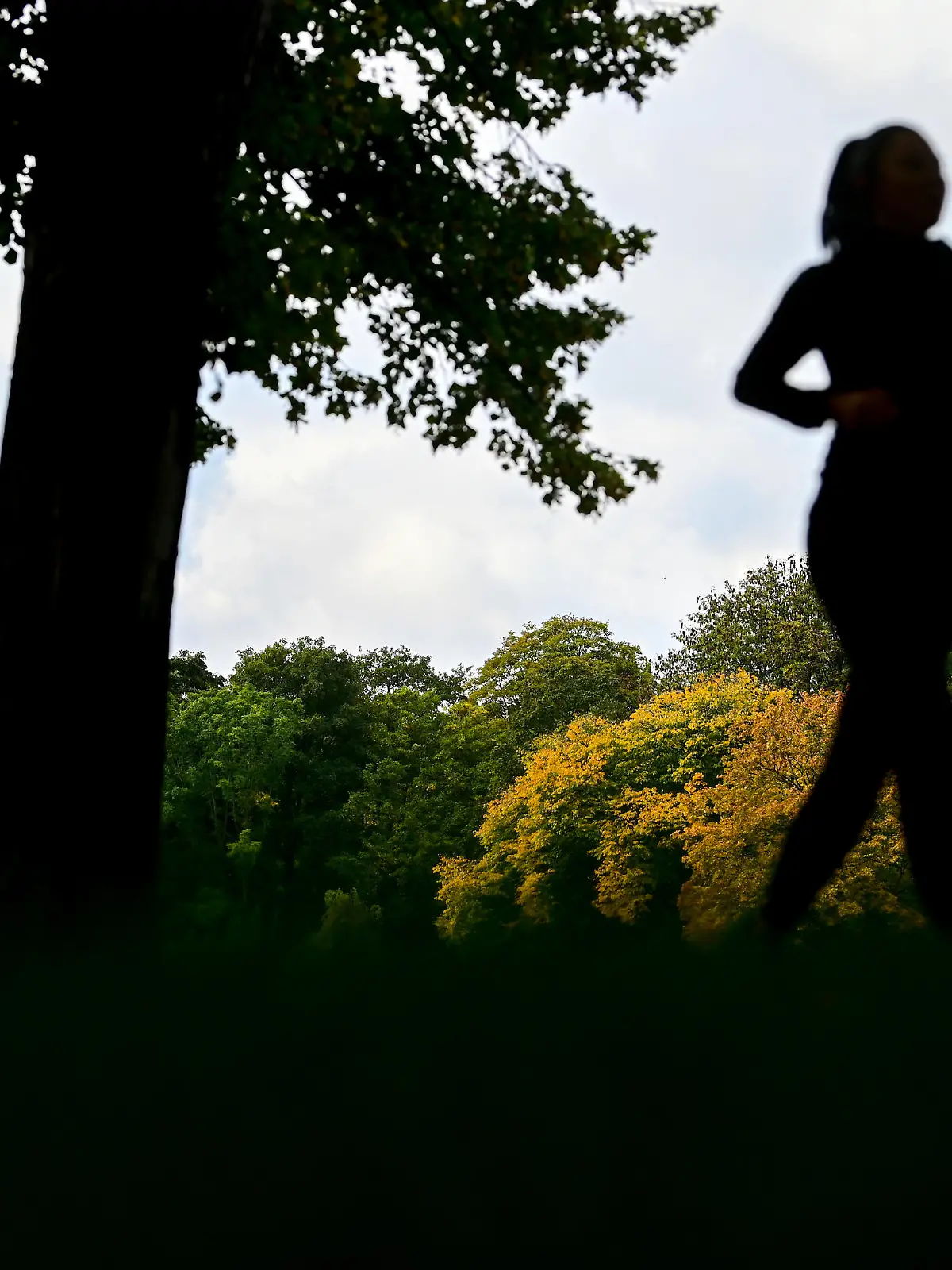 Eine Joggerin ist vor den herbstlich gefärbten Bäumen am Schlossteich in Chemnitz unterwegs. Die Woche klingt vielerorts mit wechselhaftem Herbstwetter aus.
