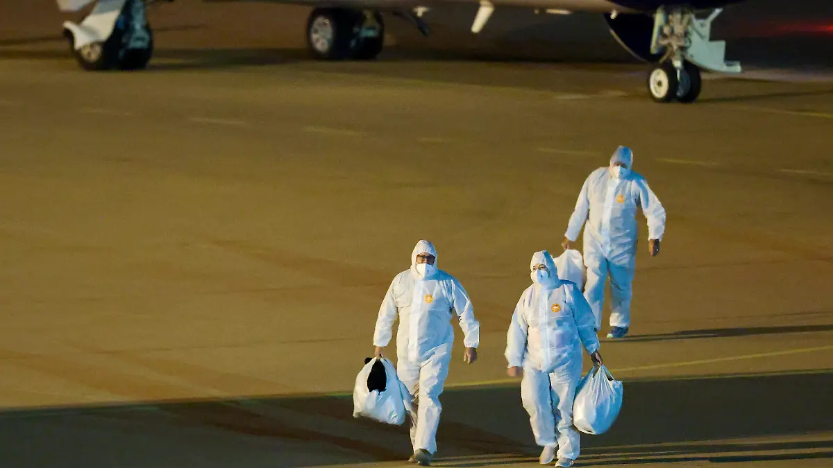 Besatzungsmitglieder der «Hondius» erreichen am Abend mit zwei Flugzeugen den Flughafen in Eindhoven, unter ihnen auch ein deutsches Besatzungsmitglied. +++ dpa-Bildfunk +++