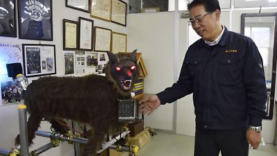 Japan: Monster-Wolf mit glühenden Augen vertreibt Bären