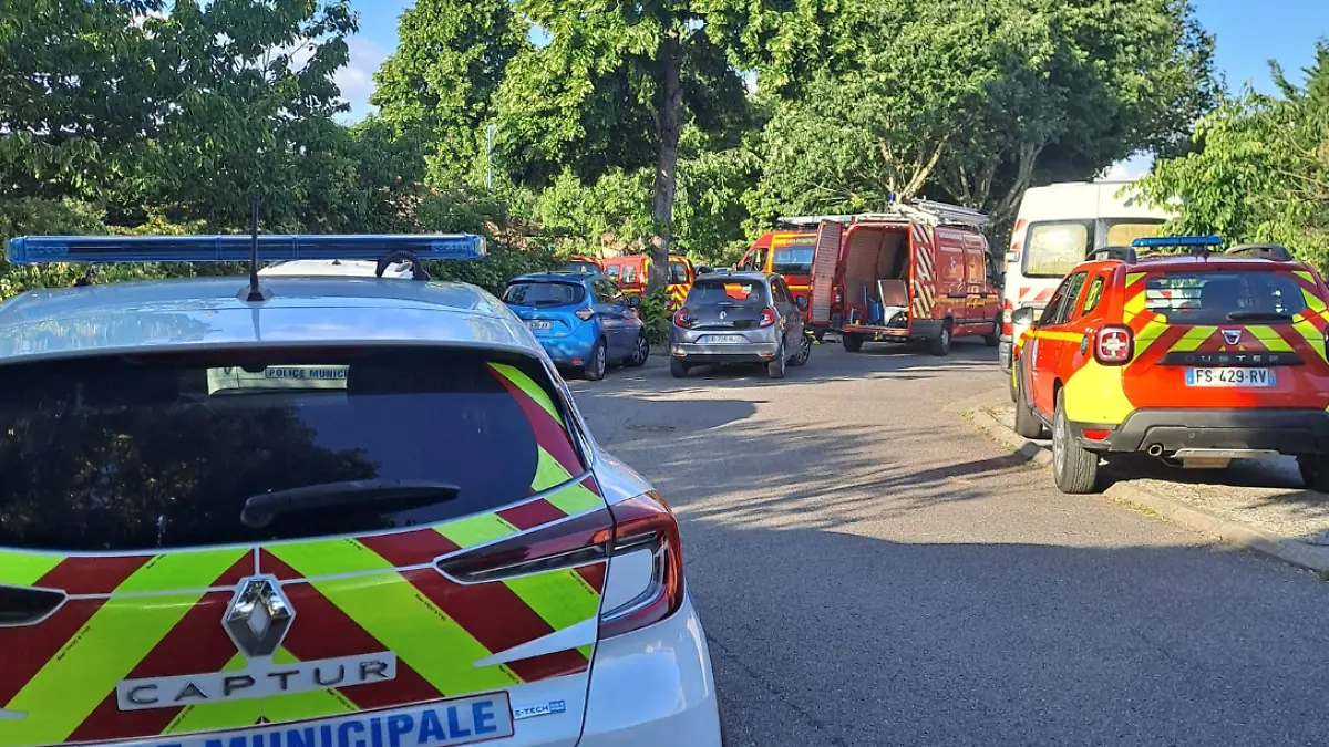Giftige Schlange (Kobra) im französischen Toulouse gesichtet.