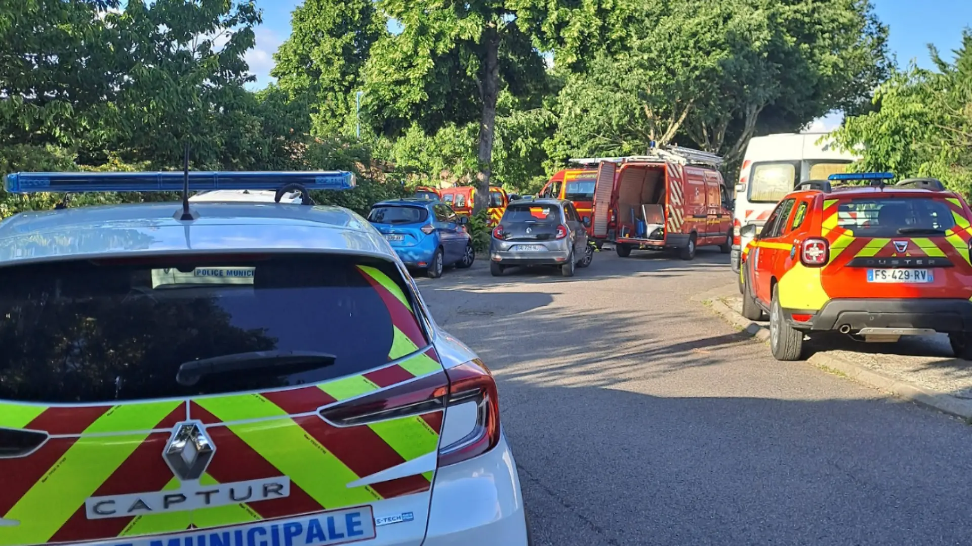 Giftige Schlange (Kobra) im französischen Toulouse gesichtet.
