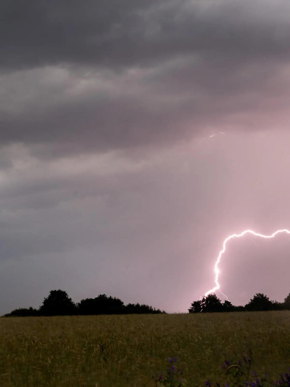 20.06.2021, Niedersachsen, Hannover: Ein Blitz schlägt am frühen Morgen während eine Gewitters in der Region Hannover ein. Foto: Julian Stratenschulte/dpa +++ dpa-Bildfunk +++