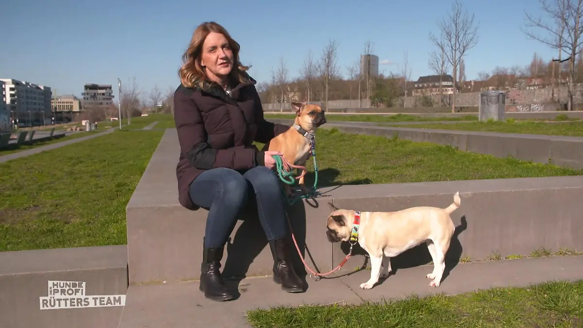 Der Hundeprofi - Rütters Team: Halterin Claudia sitzt auf einer Einfassung, an der Leine hat sie ihre beiden Hunde