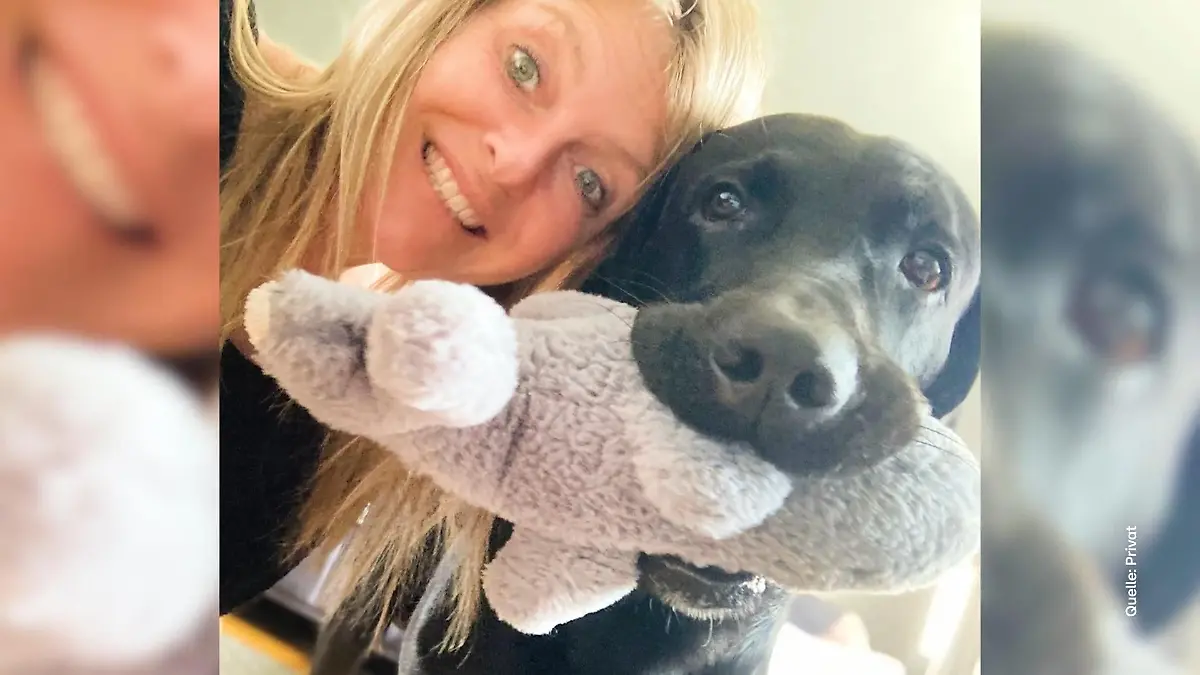 Hund soll nach Trennung versteigert werden Wer mehr bietet, bekommt Boon