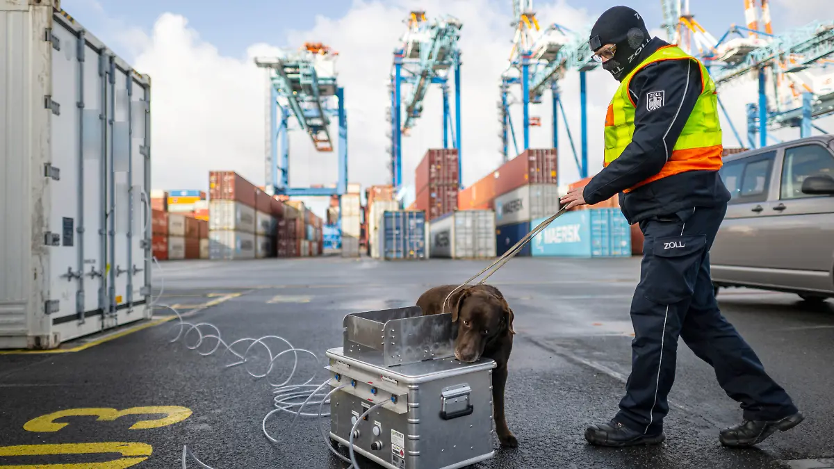 PRODUKTION - 10.04.2026, Bremen, Bremerhaven: Ein Rauschgiftspürhund des Zolls kontrolliert die abgesaugte Luft aus einem Container auf dem Gelände vom Container-Terminal Bremerhaven. (zu dpa: «Einfallstor Hafen - Den Drogen auf der Spur») Foto: Sina Schuldt/dpa +++ dpa-Bildfunk +++