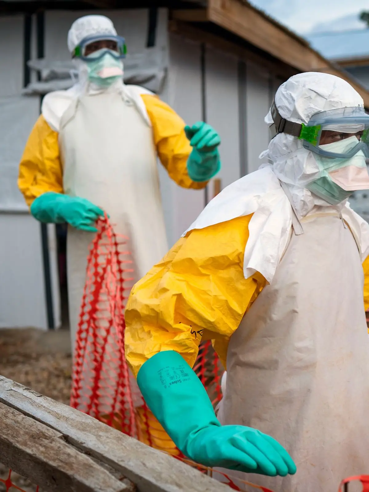 Bild zu: "Ebola in Deutschland! Tödliches Virus kommt ins Land"