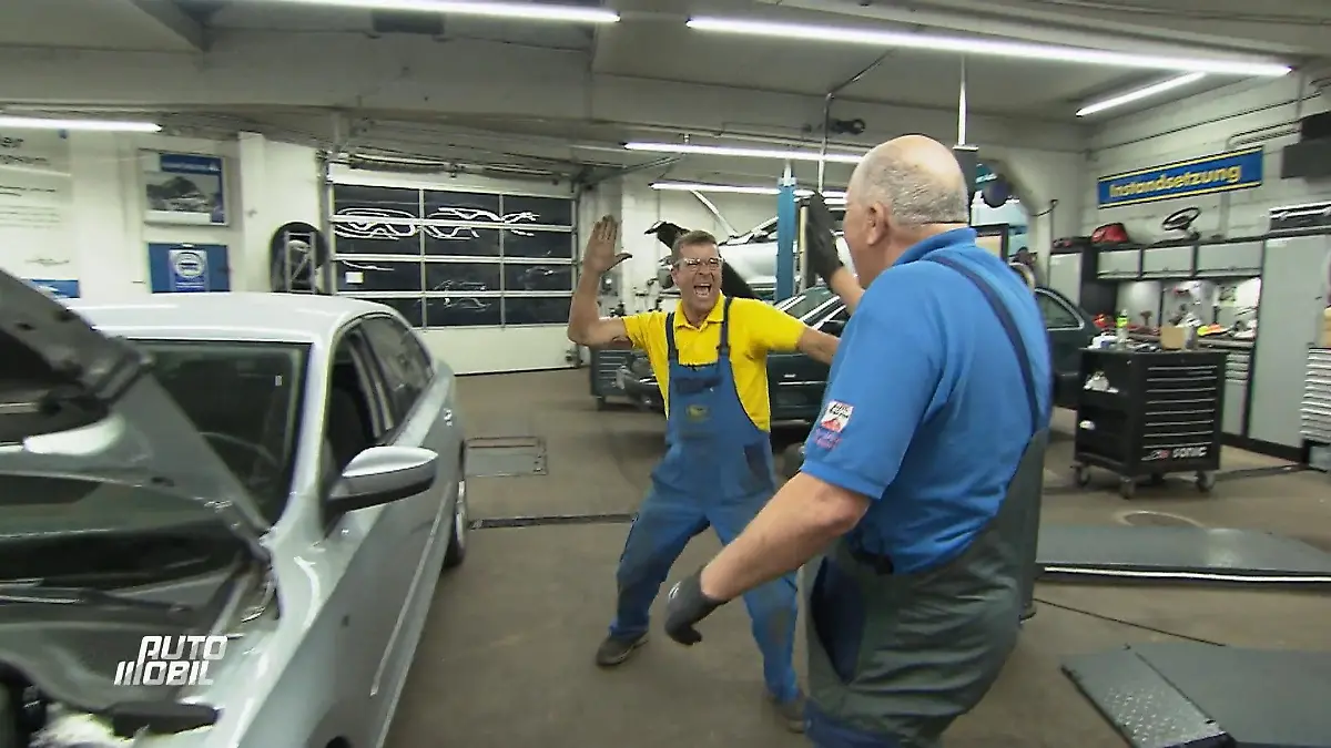 Erfolg beim Skoda-Härtefall! Die Autodoktoren