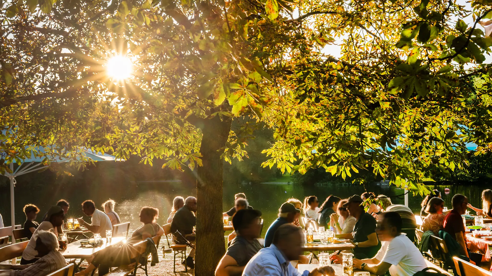 Münchner genießen den Sommerabend im Biergarten, die Abendsonne scheint durch das Blätterdach der Kastanien..