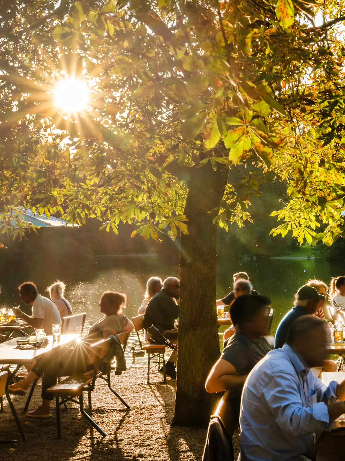 Münchner genießen den Sommerabend im Biergarten, die Abendsonne scheint durch das Blätterdach der Kastanien..