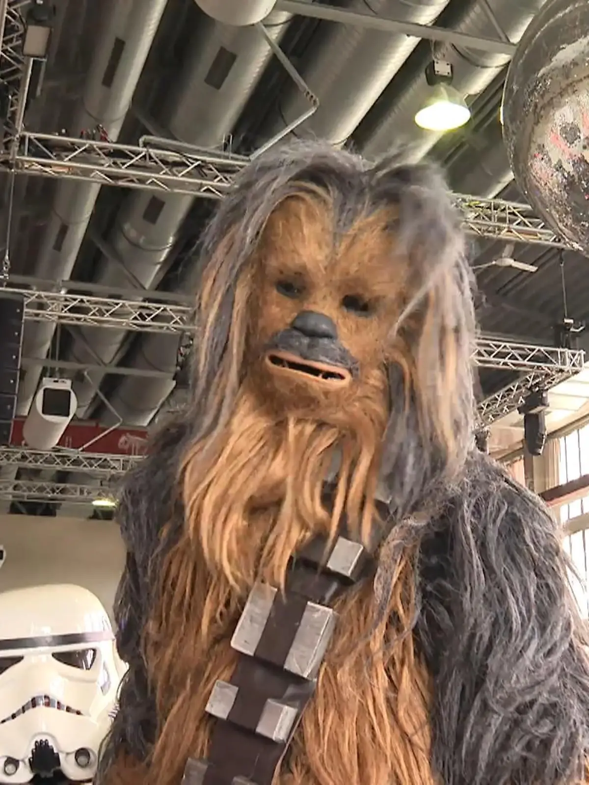 Bild zu: "„Power of the Force“-Convention in Köln"