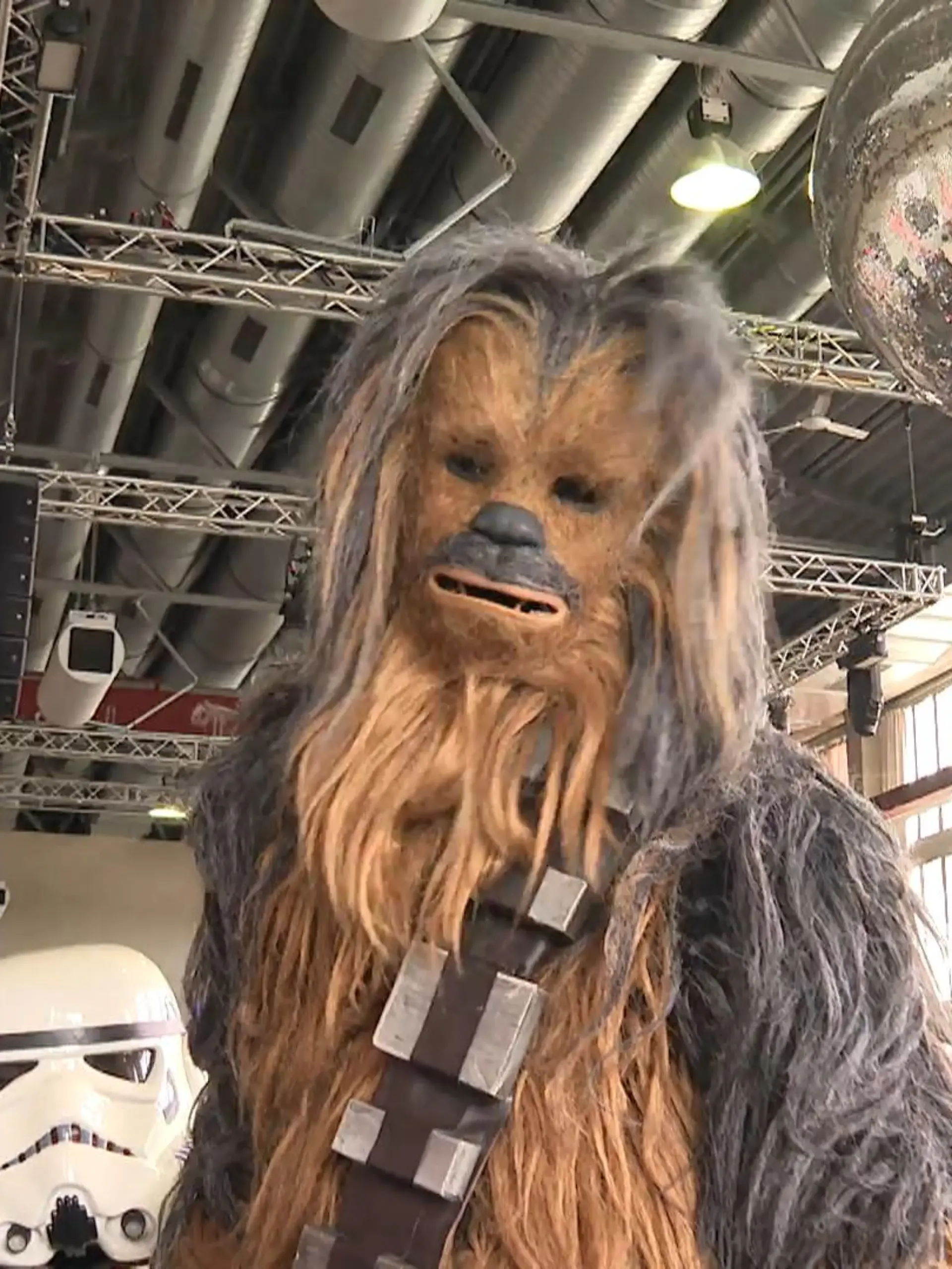 Bild zu: "„Power of the Force“-Convention in Köln"