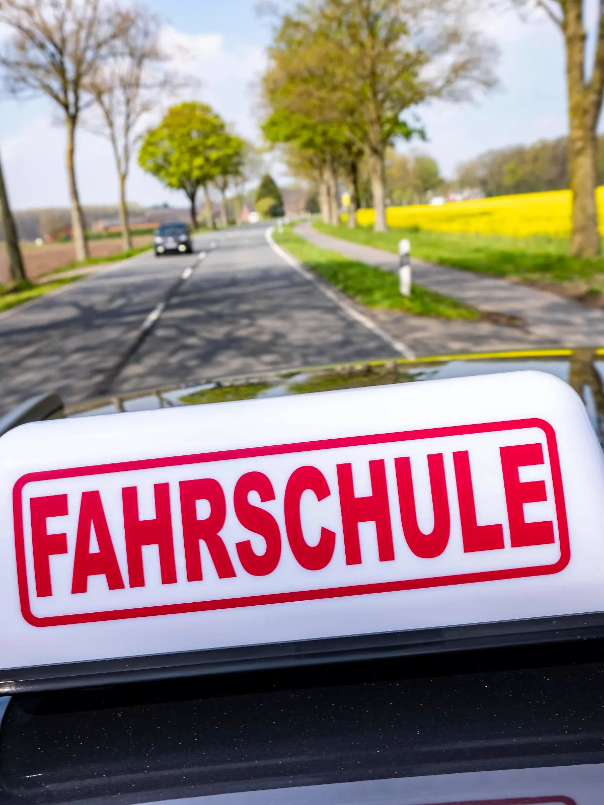 Symbolbild Fahrschule, Fahrt auf einer Landstraße, Fahrschule *** Symbolic picture driving school, driving on a country road, driving school