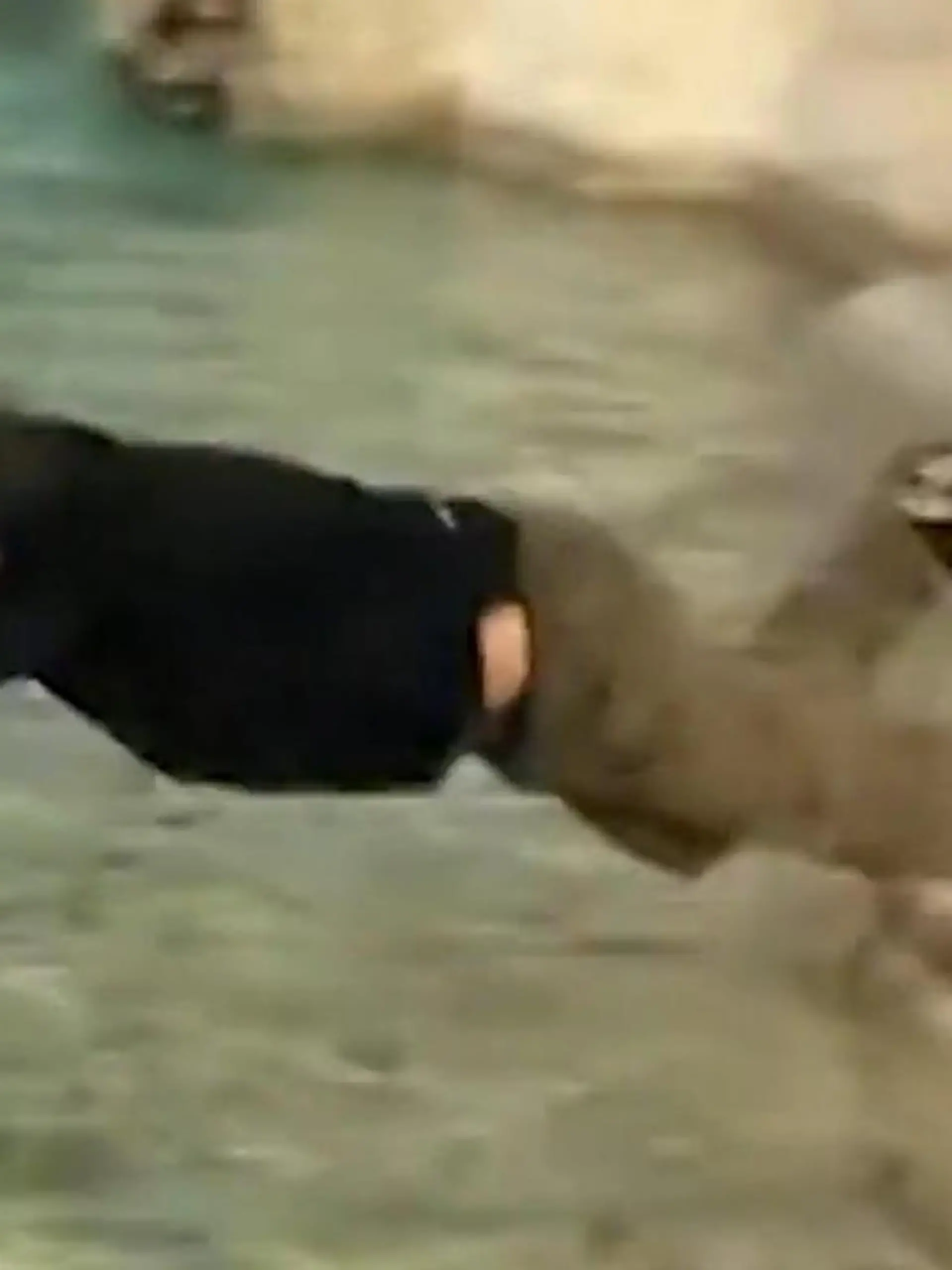 Bild zu: "Aufregung am Trevi-Brunnen! Tourist sorgt für Skandal an berühmtem Wahrzeichen"