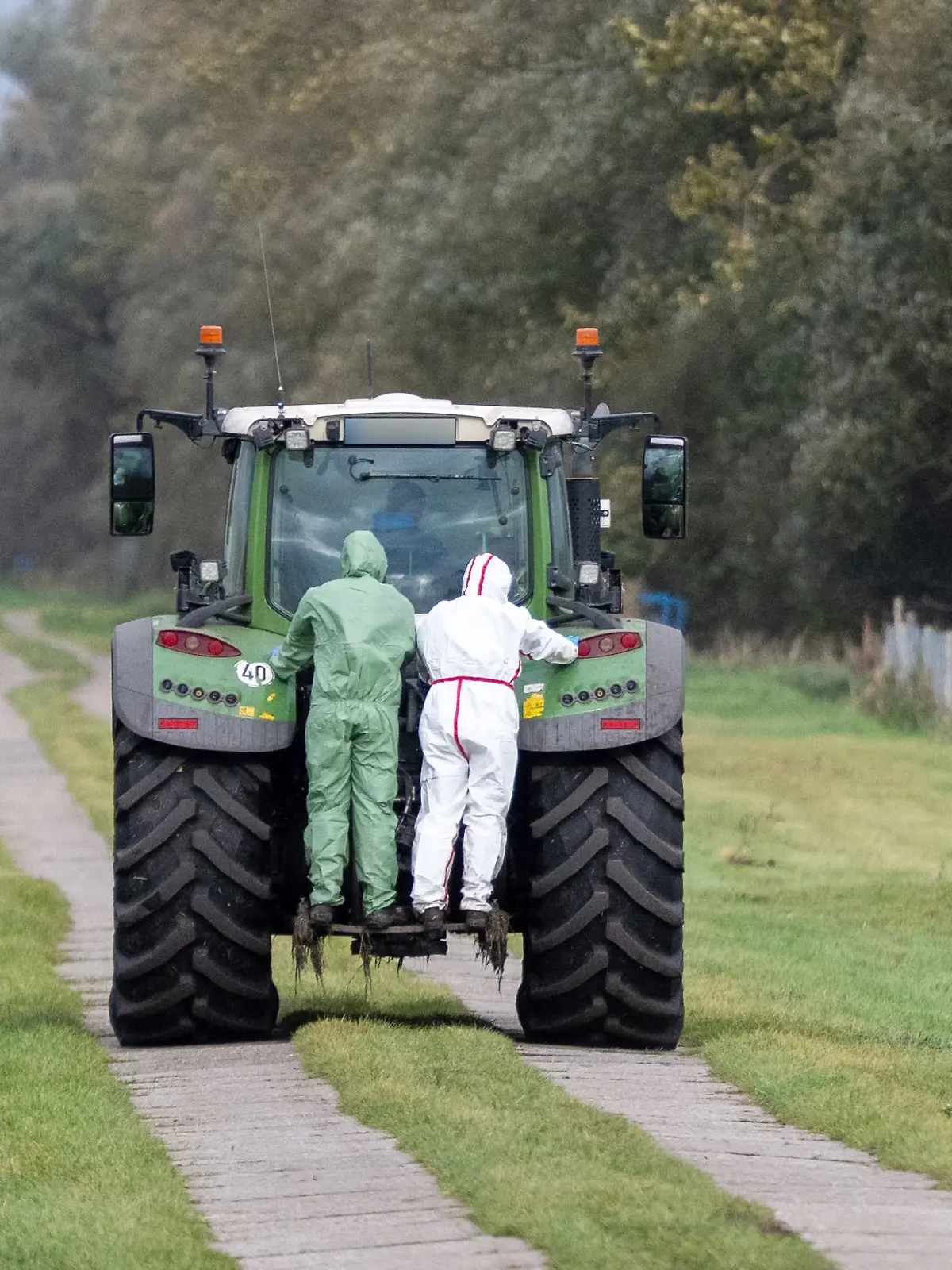 Ein Traktor steht in einem Waldstück zwischen gefällten Baumstämmen.