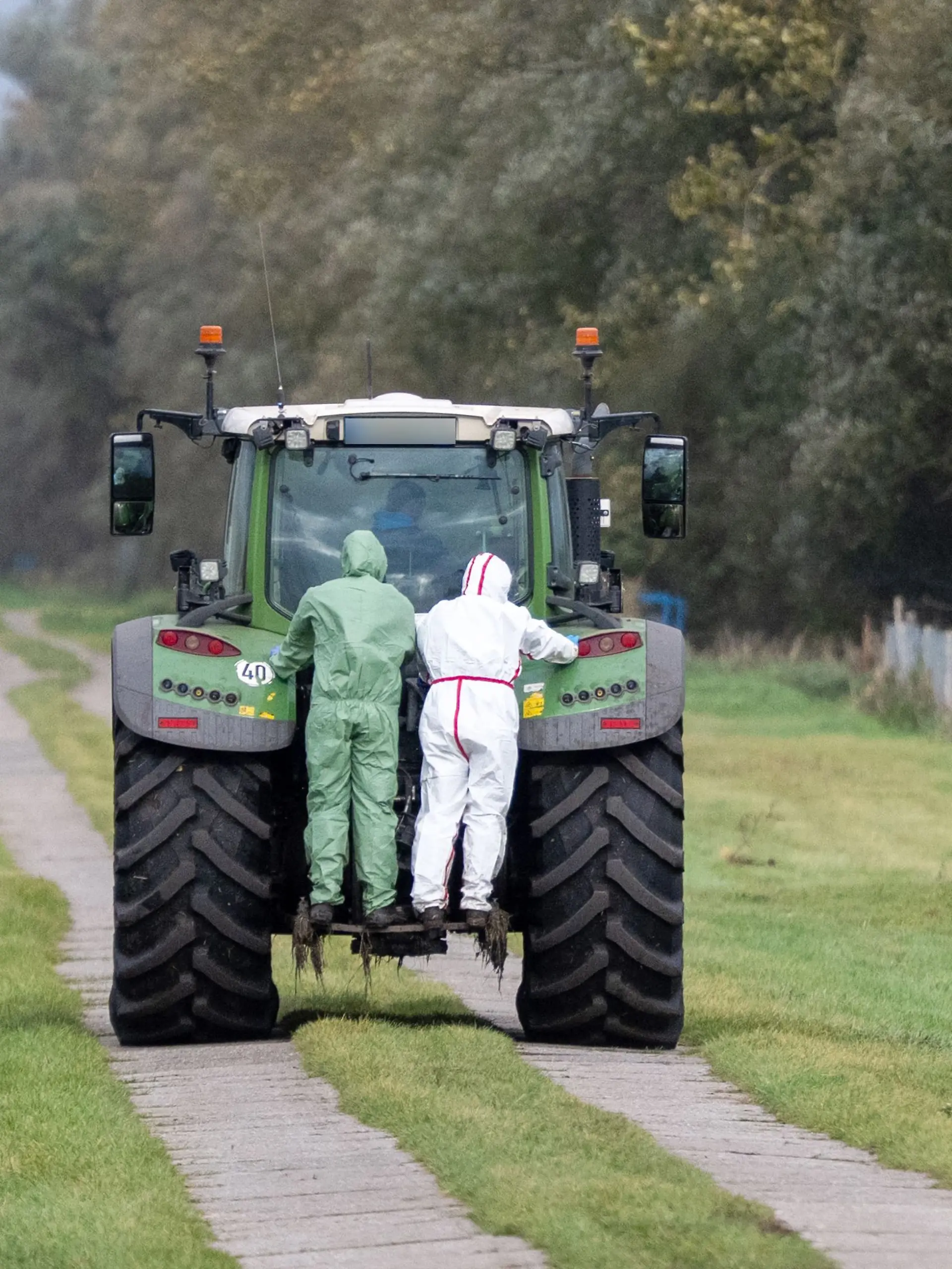 Ein Traktor steht in einem Waldstück zwischen gefällten Baumstämmen.