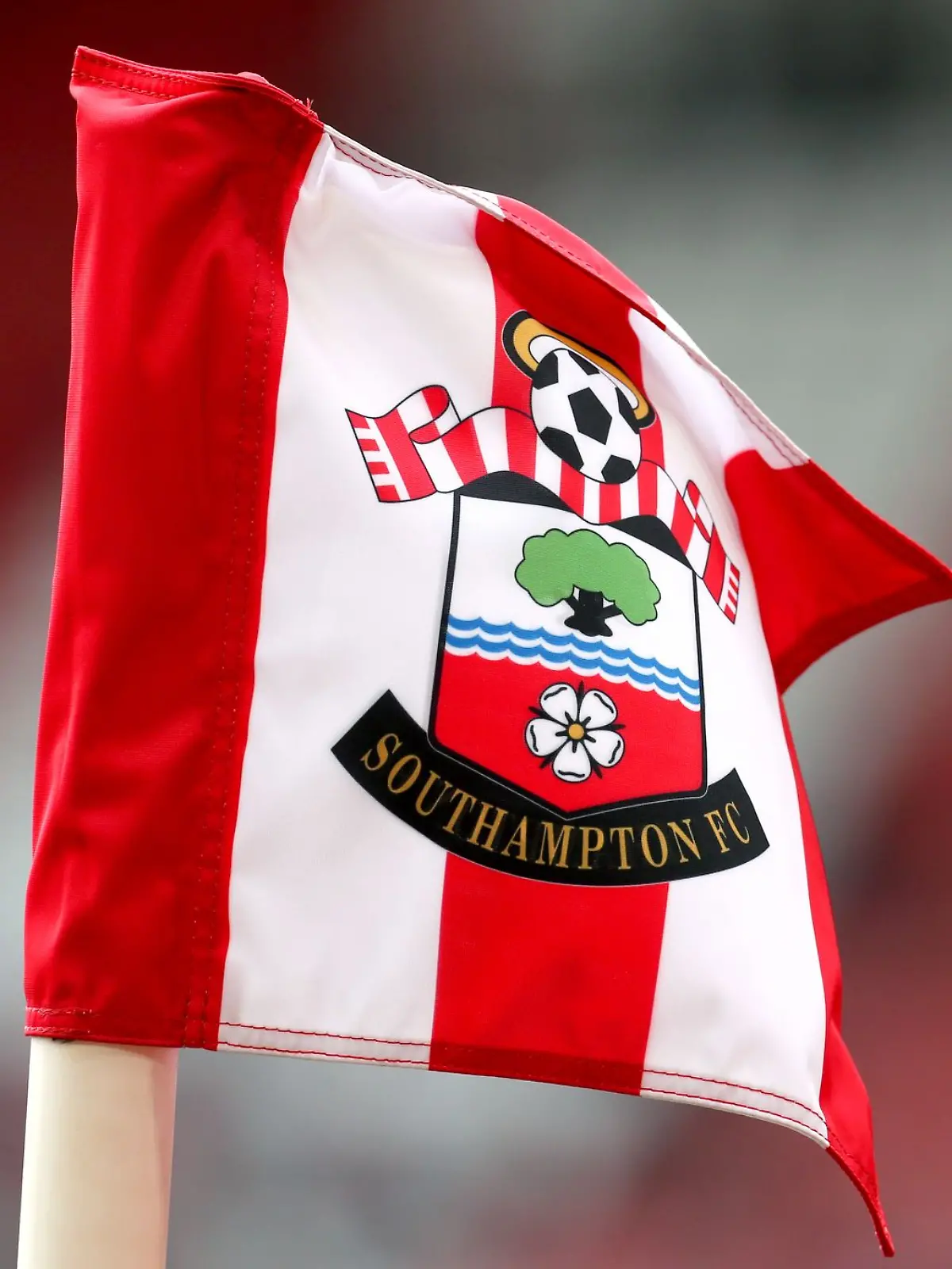 Bild zu: "Spionage-Affäre: Auch Verband ermittelt gegen Southampton"