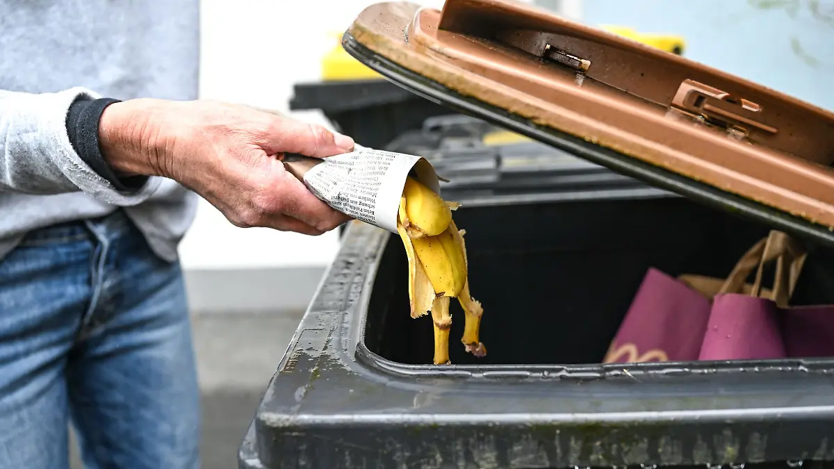 Nur in kleinen Mengen ein Fall für den Kompost: Wer sichergehen will, wirft Bananenschalen lieber in die Biotonne.