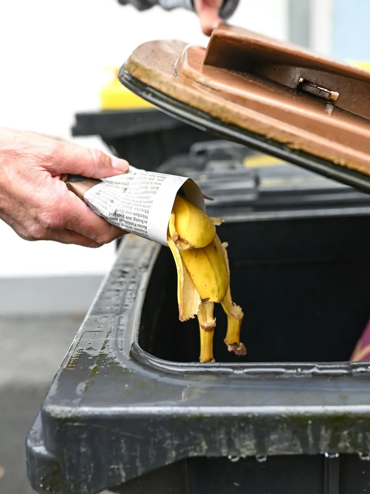 Nur in kleinen Mengen ein Fall für den Kompost: Wer sichergehen will, wirft Bananenschalen lieber in die Biotonne. 
