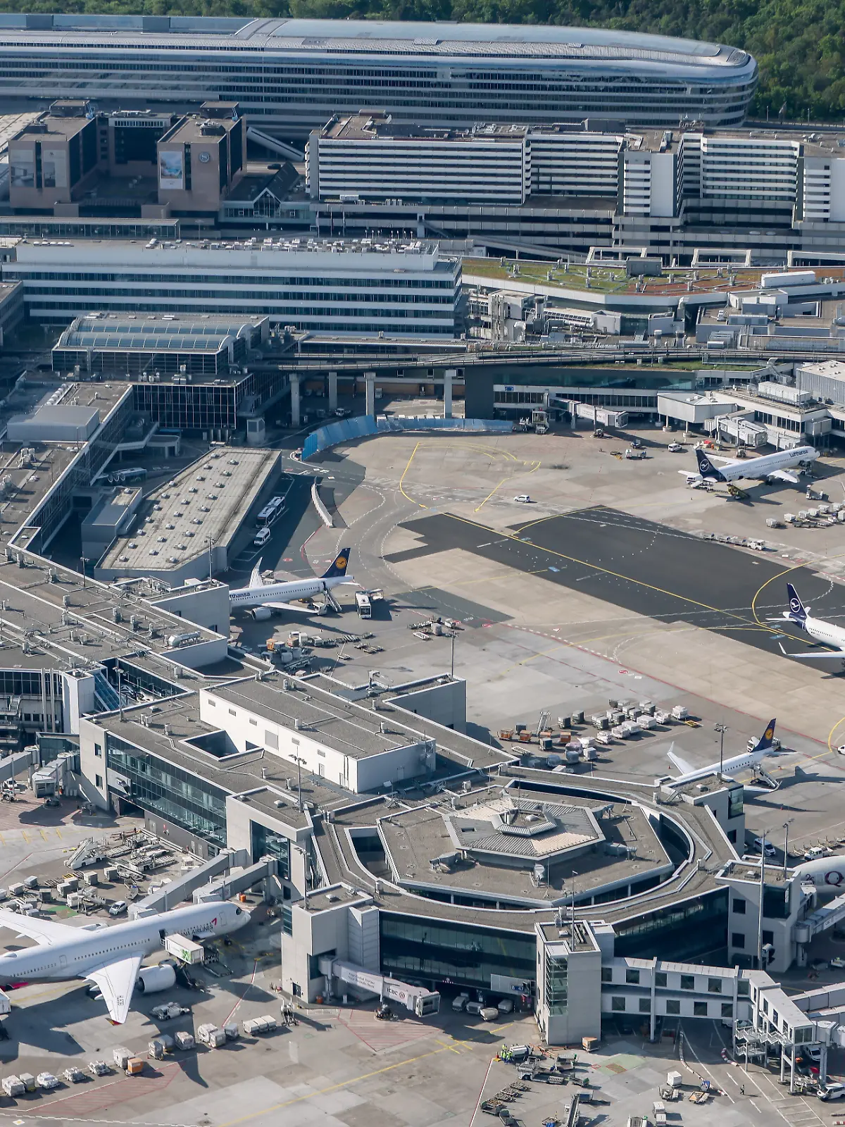 Verschiedene Flugzeuge stehen an den Gates des Flughafens Frankfurt/Main. Bei Gerichten an den Standorten größerer Flughäfen landen wieder massenhaft Klagen gegen Airlines. (zu dpa «Richterbund: Gerichte werden mit Flugklagen geflutet») +++ dpa-Bildfunk +++