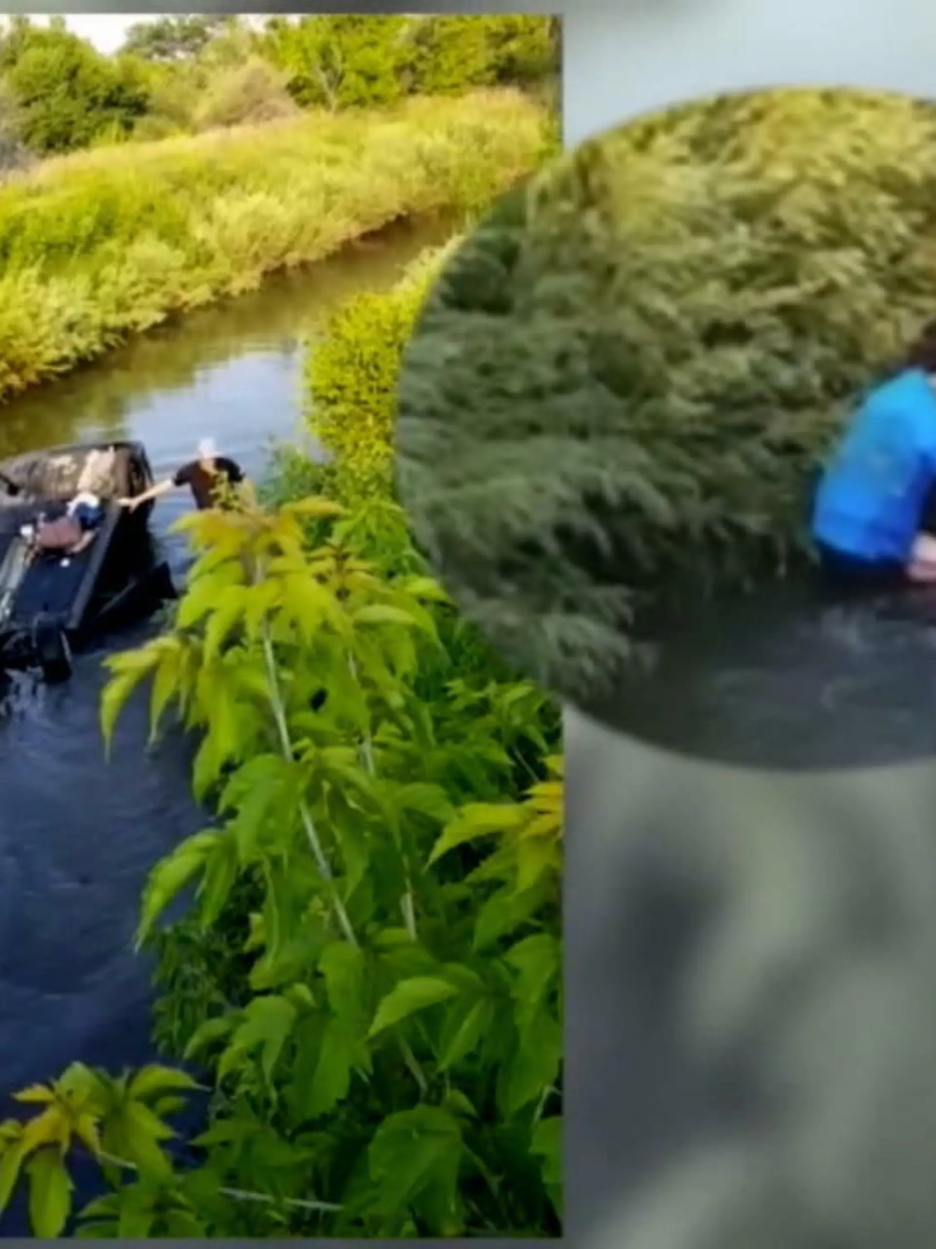 Ihr Wagen füllte sich nach dem Horror-Crash bereits mit Wasser: Eine Frau hat im US-Bundesstaat Colorado die Kontrolle über ihr Auto verloren – und ist kopfüber mit ihrem Wagen in einem Fluss gelandet. Glücklicherweise sehen Rob Reynolds und zwei weitere Männer den Unfall.