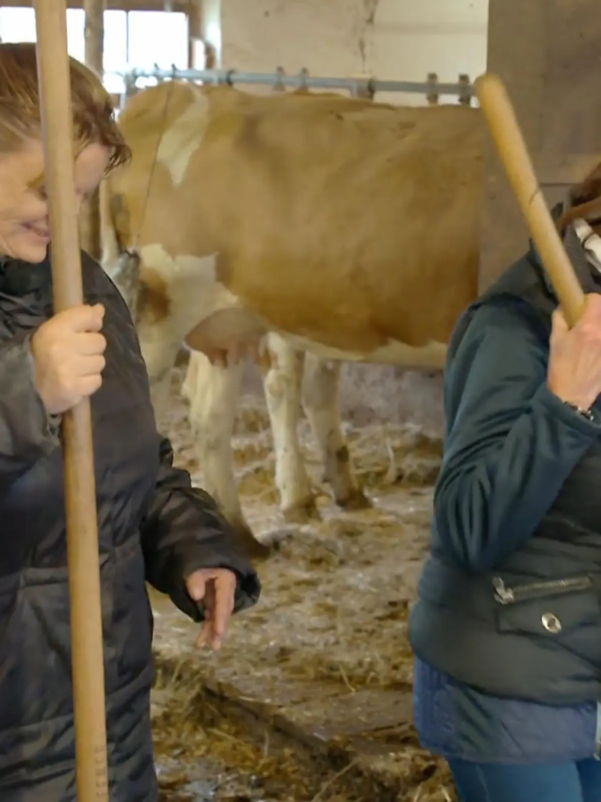 Bild zu: "Silke und Simone entdecken Franz’ Welt und müssen direkt mit anpacken"