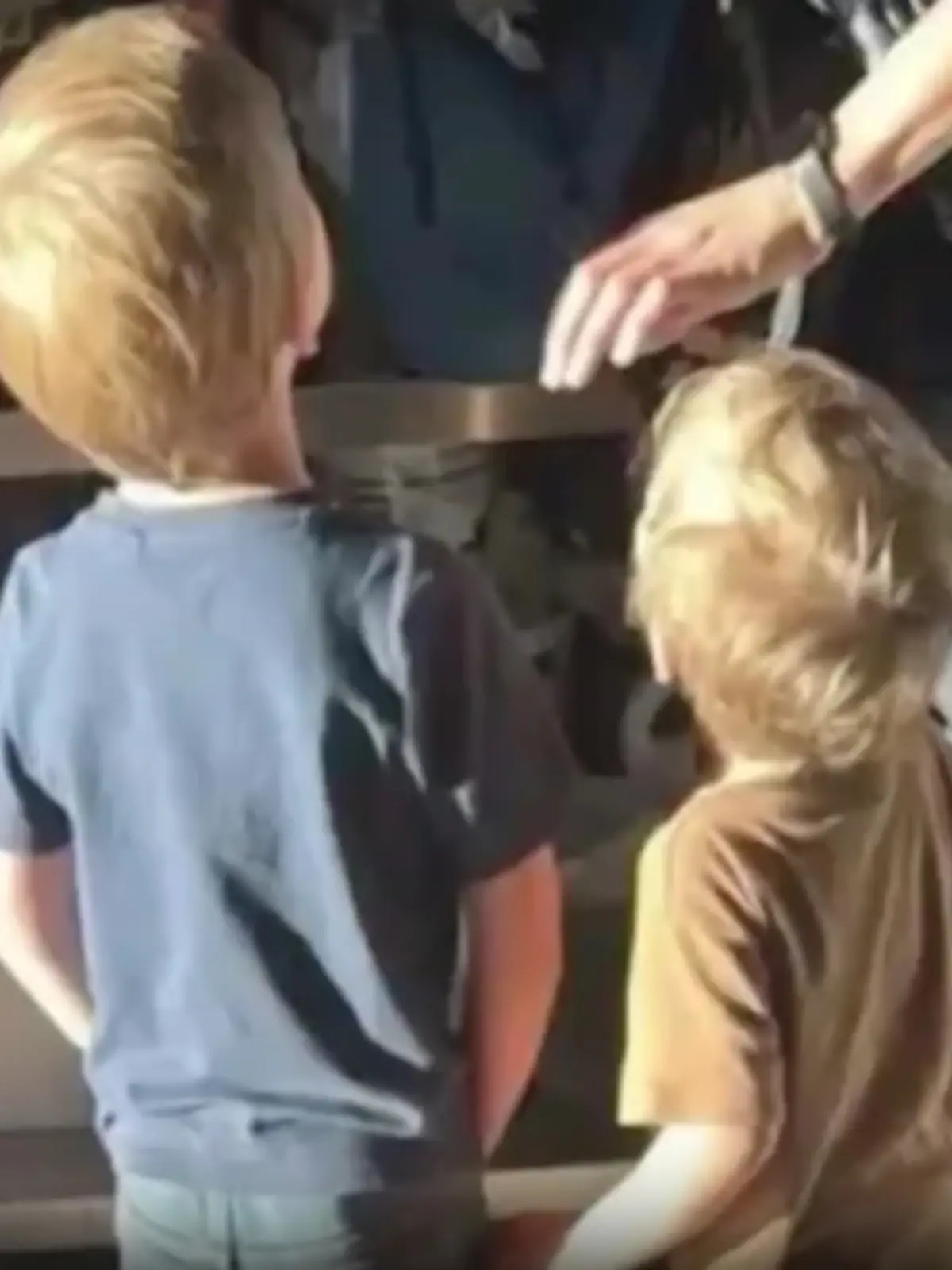 Bild zu: "Ausgesetzte Kinder aus Colmar sicher zurück in Frankreich"