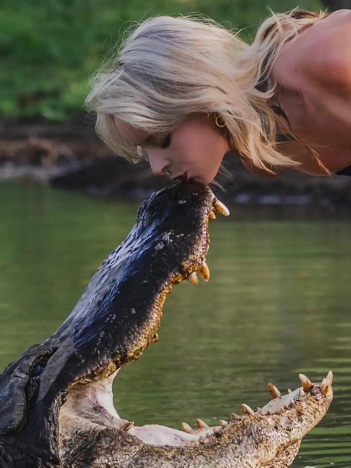Bild zu: "Bachelor mit Biss! Studentin knutscht riesigen Alligator – für Abschlussfotos"