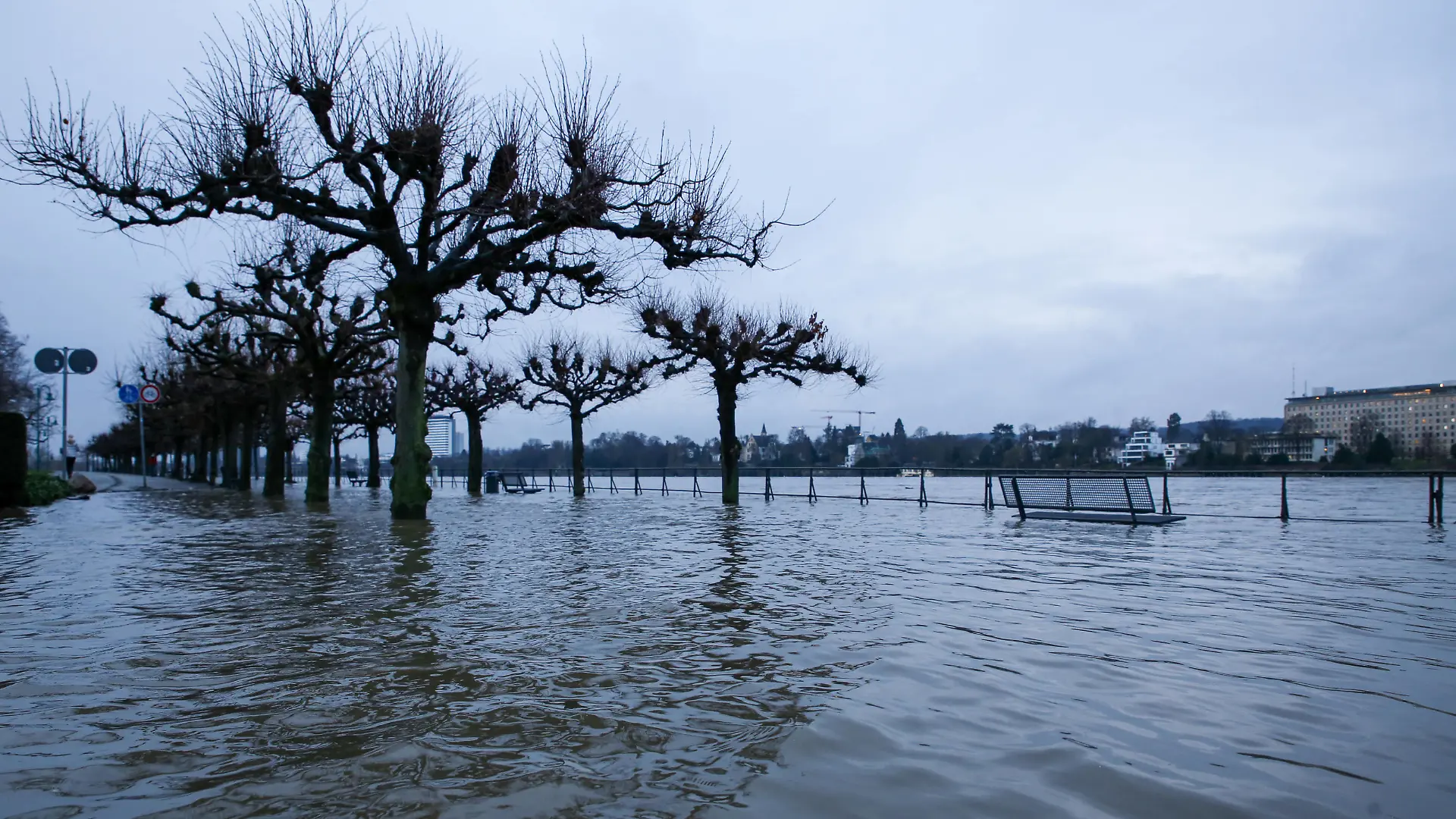  Hochwasser in Bonn Der Rheinpegel steigt weiter an. Am Montagmorgen 01.02.2021 erreichte er die 7-Meter-Grenze. Das Hochwasser in Bonn Beuel. Bonn Beuel Nordrhein-Westfalen Deutschland *** Flood in Bonn The Rhine level continues to rise On Monday morning 01 02 2021 it reached the 7 meter mark The flood in Bonn Beuel Bonn Beuel North Rhine Westphalia Germany