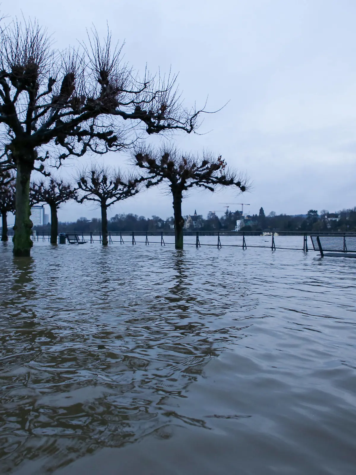  Hochwasser in Bonn Der Rheinpegel steigt weiter an. Am Montagmorgen 01.02.2021 erreichte er die 7-Meter-Grenze. Das Hochwasser in Bonn Beuel. Bonn Beuel Nordrhein-Westfalen Deutschland *** Flood in Bonn The Rhine level continues to rise On Monday morning 01 02 2021 it reached the 7 meter mark The flood in Bonn Beuel Bonn Beuel North Rhine Westphalia Germany