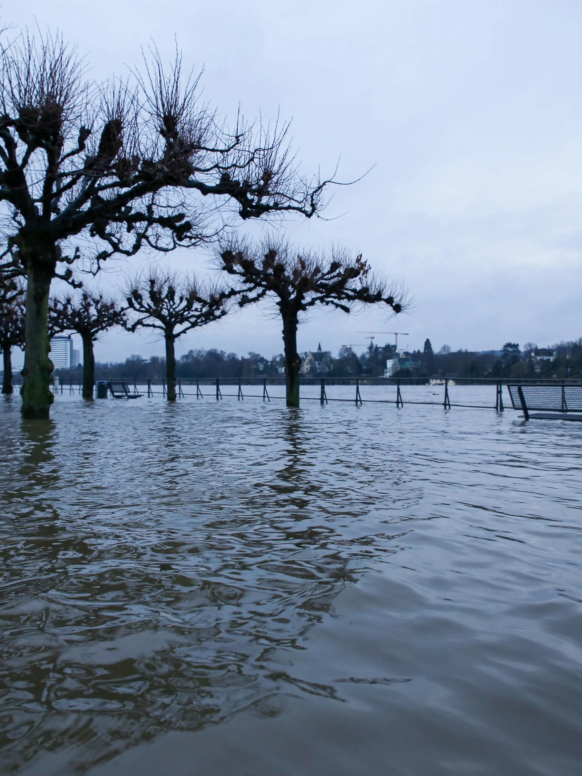  Hochwasser in Bonn Der Rheinpegel steigt weiter an. Am Montagmorgen 01.02.2021 erreichte er die 7-Meter-Grenze. Das Hochwasser in Bonn Beuel. Bonn Beuel Nordrhein-Westfalen Deutschland *** Flood in Bonn The Rhine level continues to rise On Monday morning 01 02 2021 it reached the 7 meter mark The flood in Bonn Beuel Bonn Beuel North Rhine Westphalia Germany