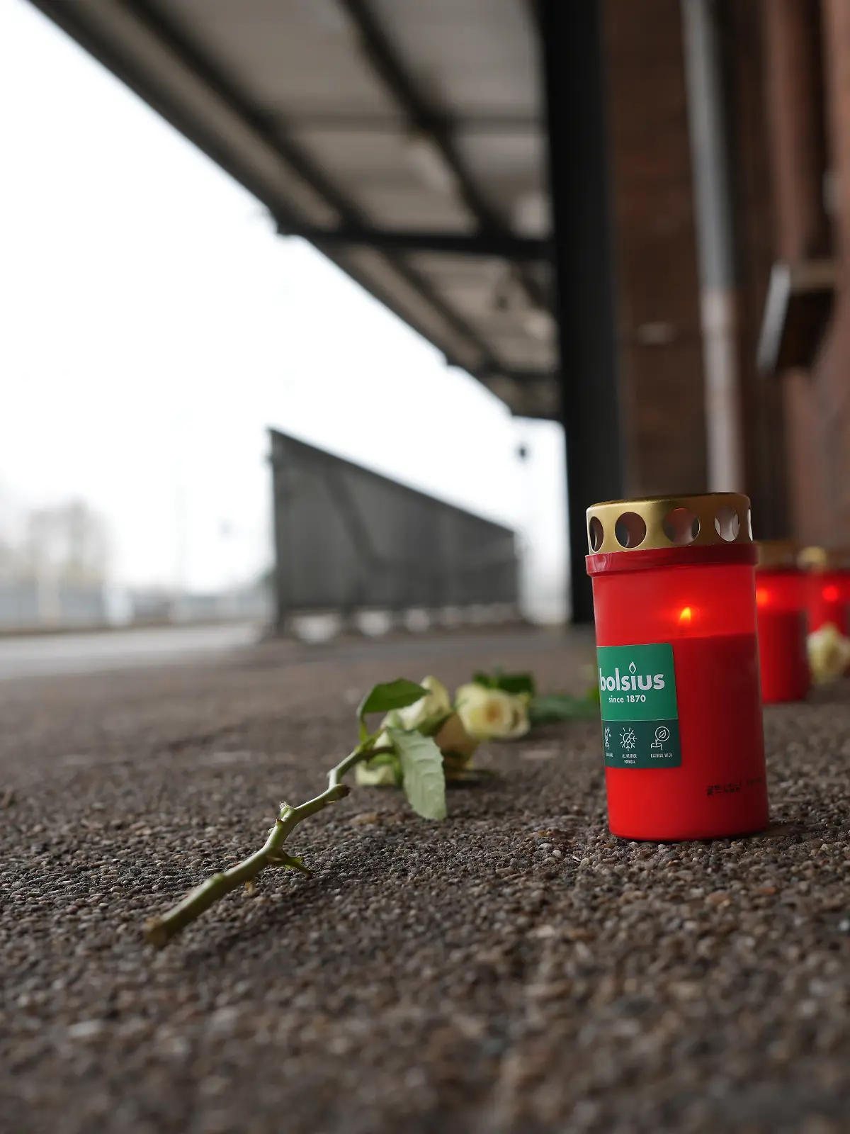 Eine Blume und Kerzen liegen am Bahnsteig nach dem Tod eines Zugbegleiters. Der Mann war bei einem Angriff im Zug von einem Fahrgast in Rheinland-Pfalz lebensgefährlich verletzt worden und in Folge der Verletzungen verstorben. (zu dpa: «Verdächtiger räumt tödlichen Angriff auf Zugbegleiter ein») +++ dpa-Bildfunk +++