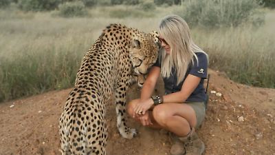 Bild von Tierschützerin kämpft gegen Wilderer in Namibia