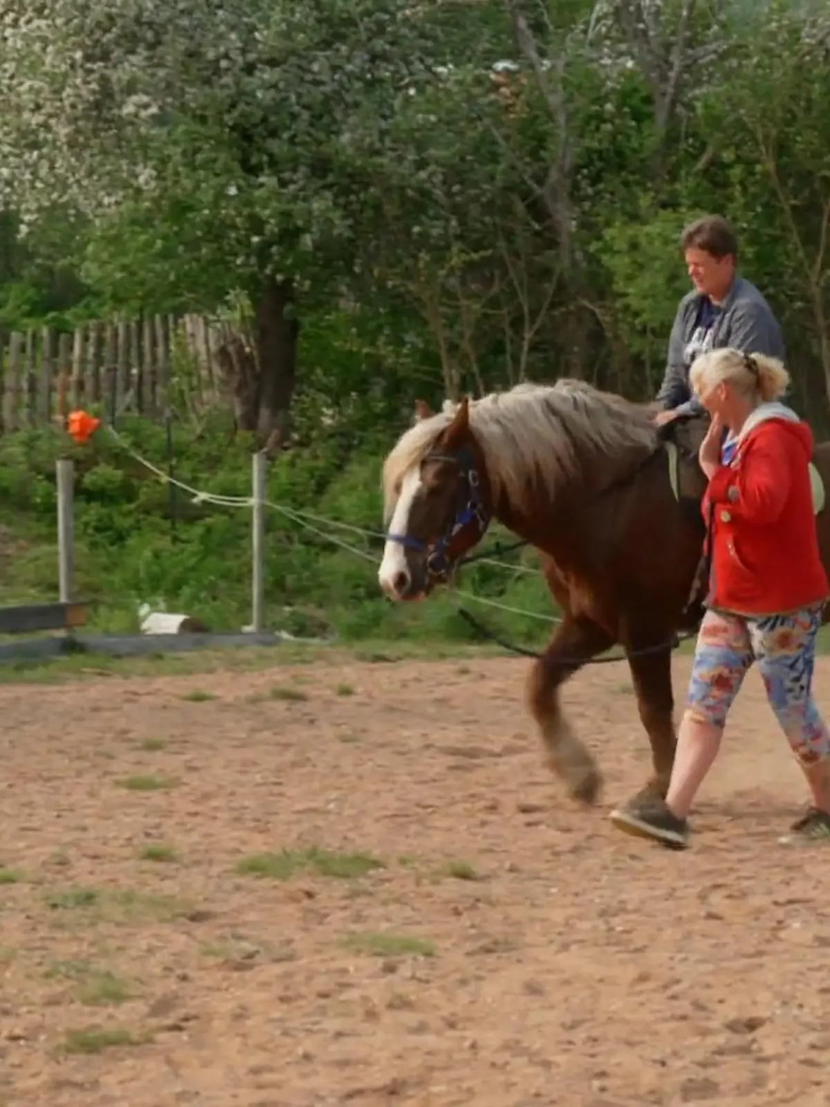 Bild zu: "Andrea wagt sich auf Annettes Pferd"