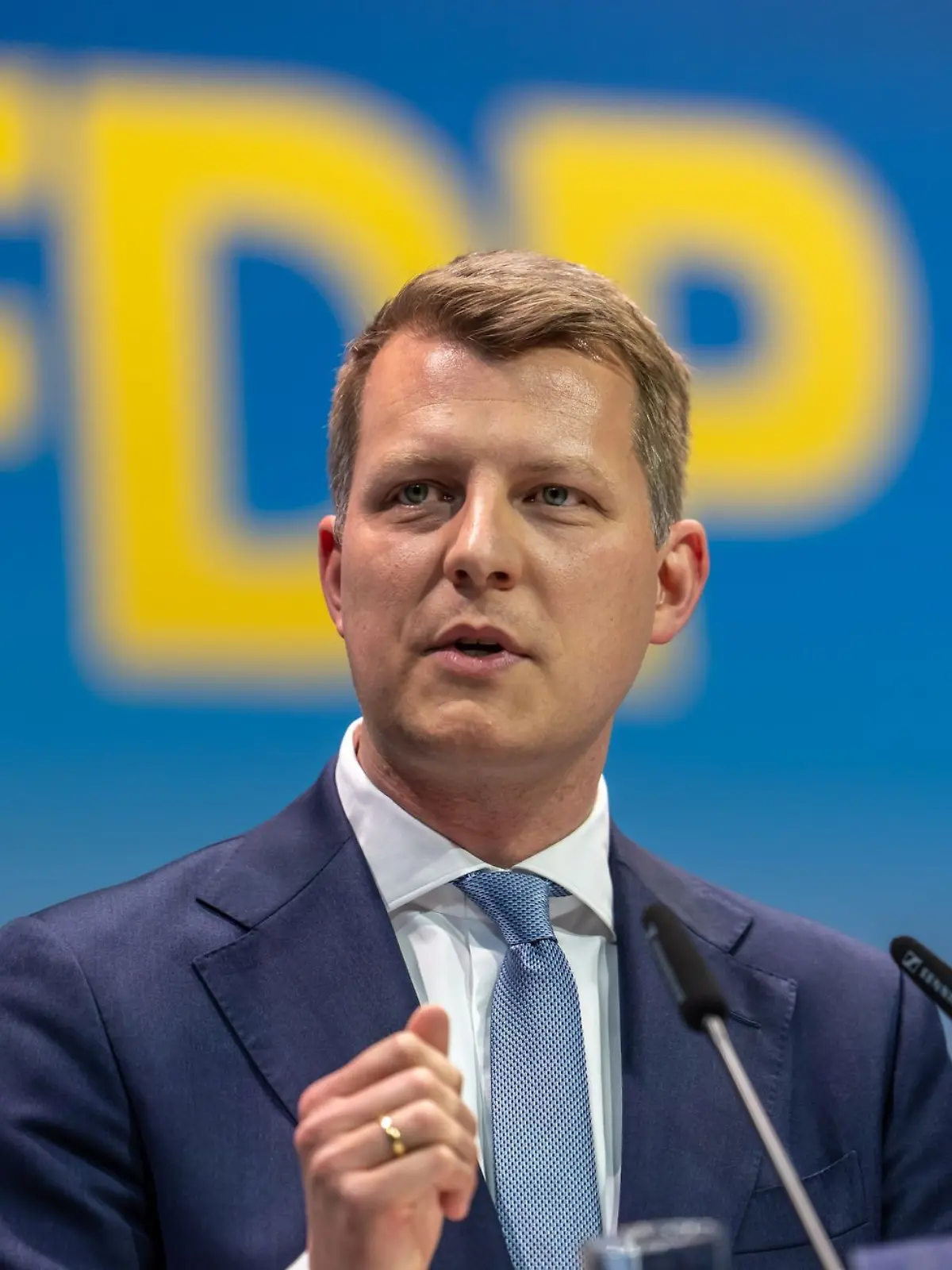 Bild zu: "Höne (FDP) über neuen Parteivorsitzenden"