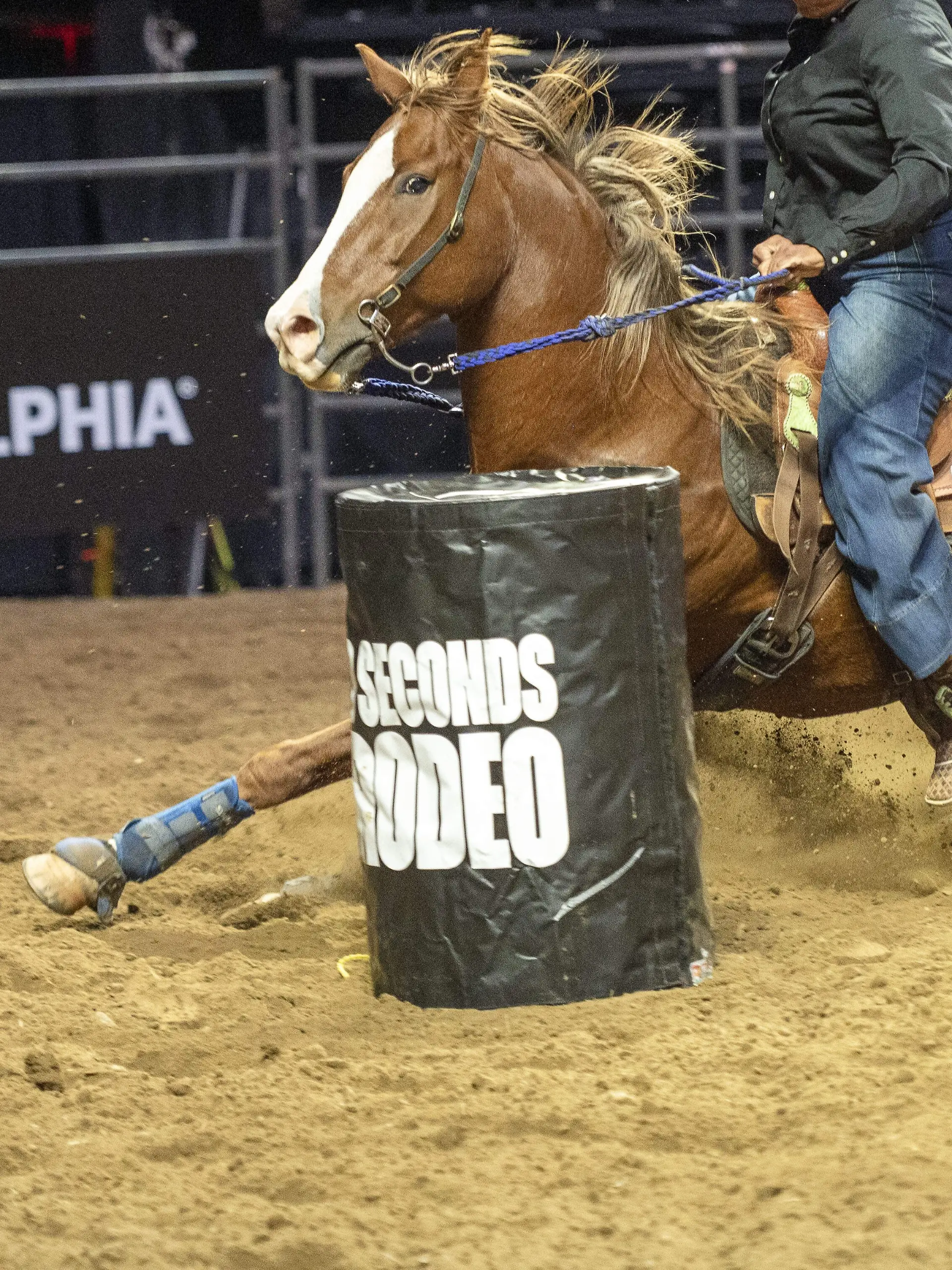 Bei einem Barrel-Racing-Turnier sollen drei Pferde mit einem Messer brutal verletzt worden sein. (Symbolbild)