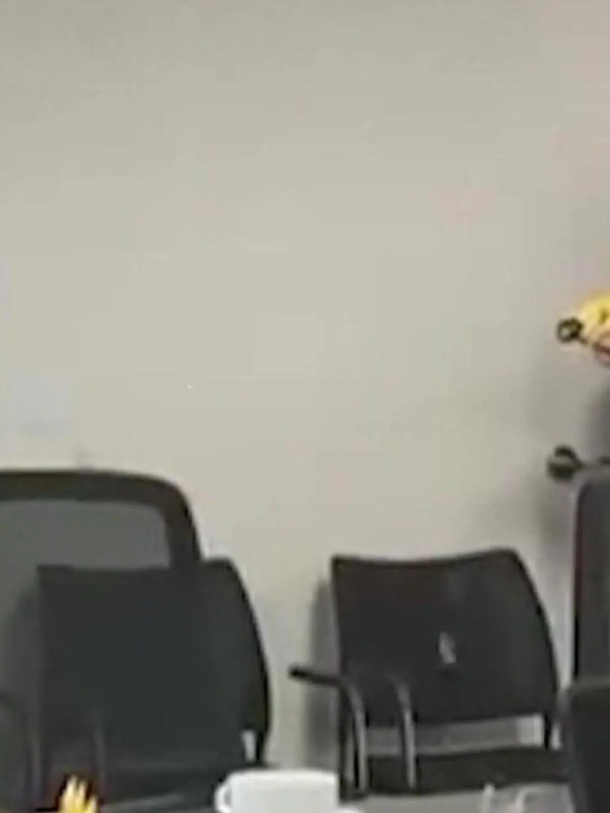 Bild zu: "Elektroschocker im Büro! Bürgermeister feuert Taser auf seinen Berater"
