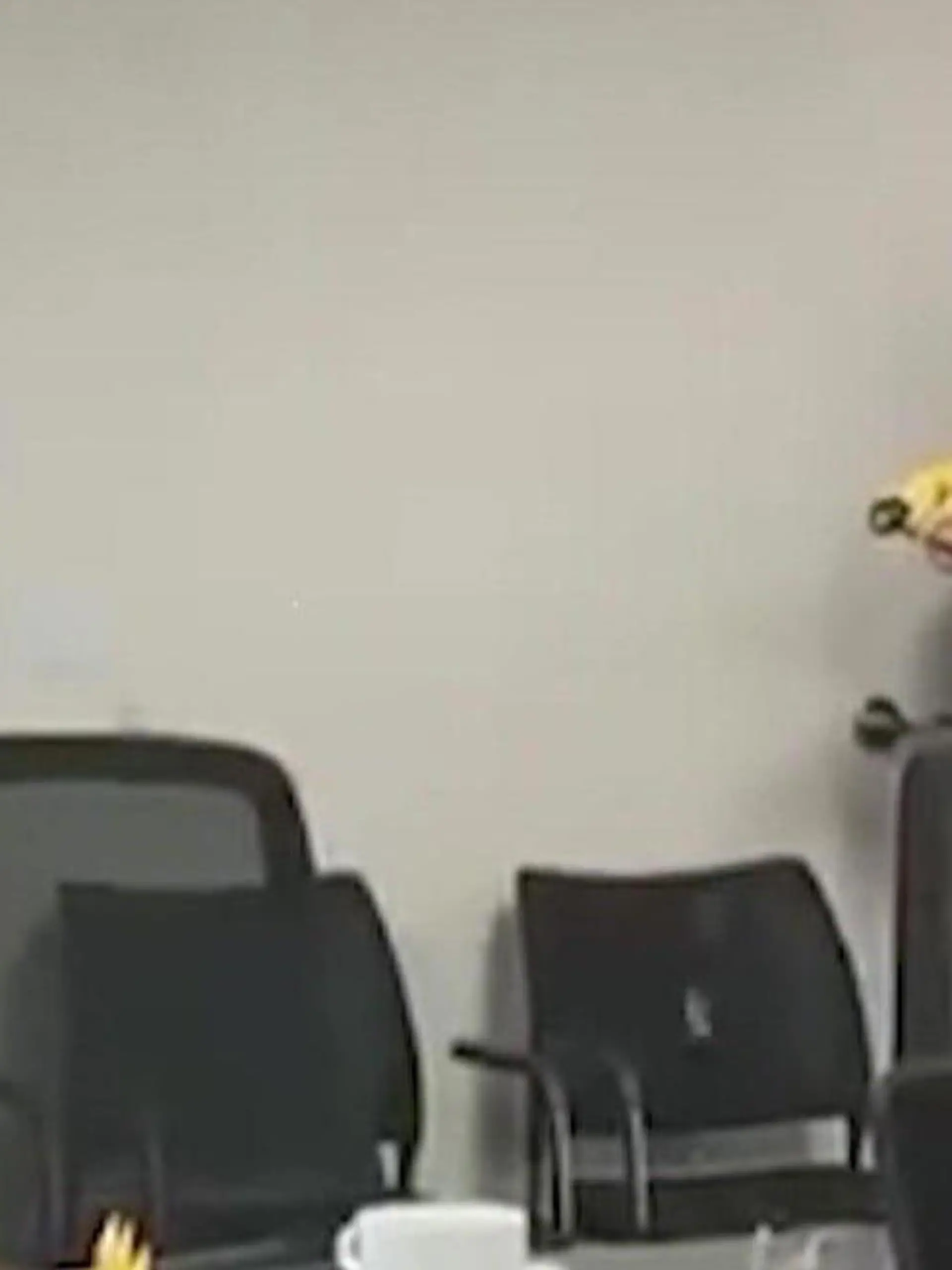 Bild zu: "Elektroschocker im Büro! Bürgermeister feuert Taser auf seinen Berater"