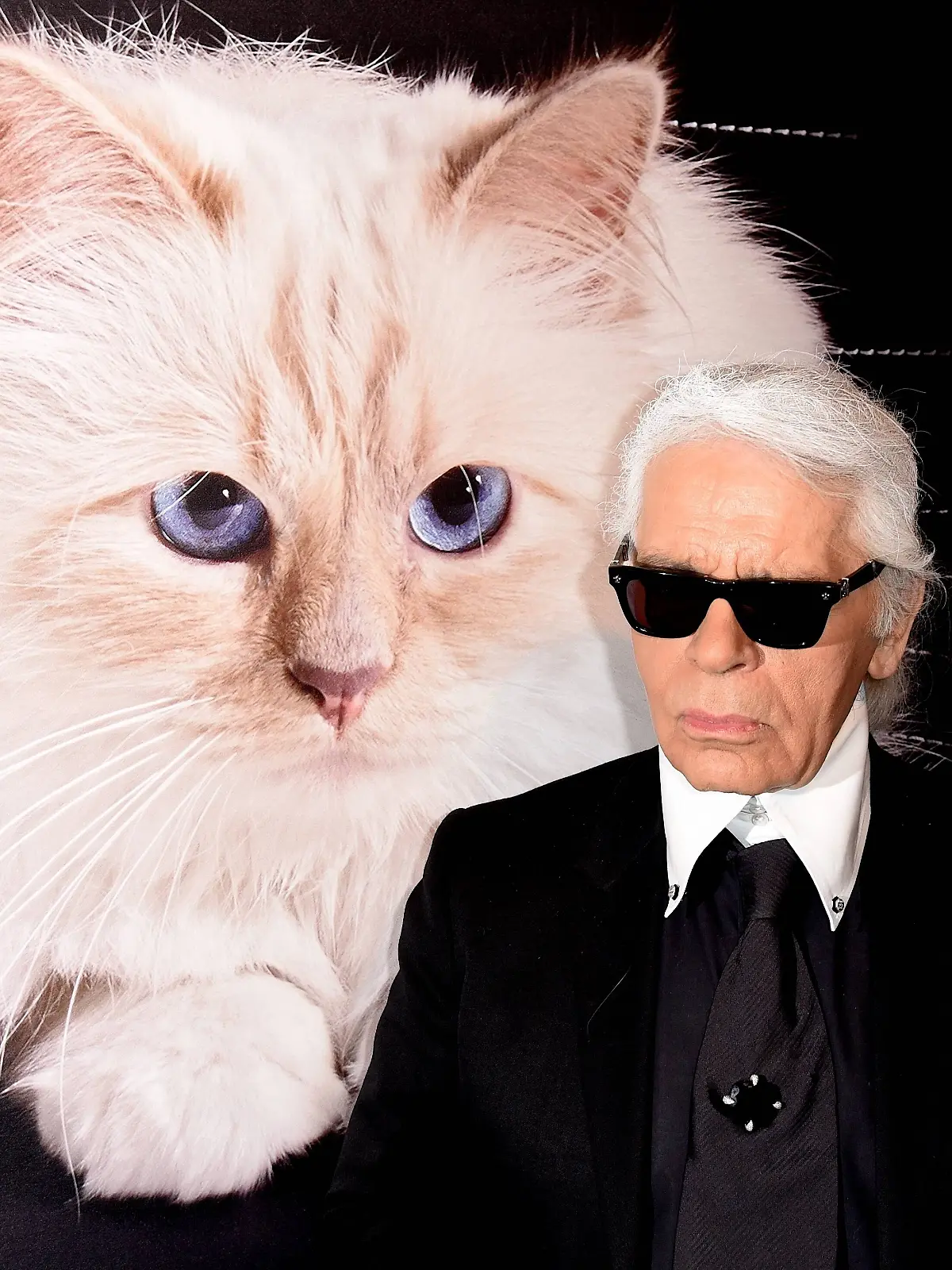 Sieben Jahre nach Karl Lagerfelds Tod hat seine berühmte Katze Choupette offenbar noch keinen Cent ihres Millionen-Erbes erhalten. (Archivbild)