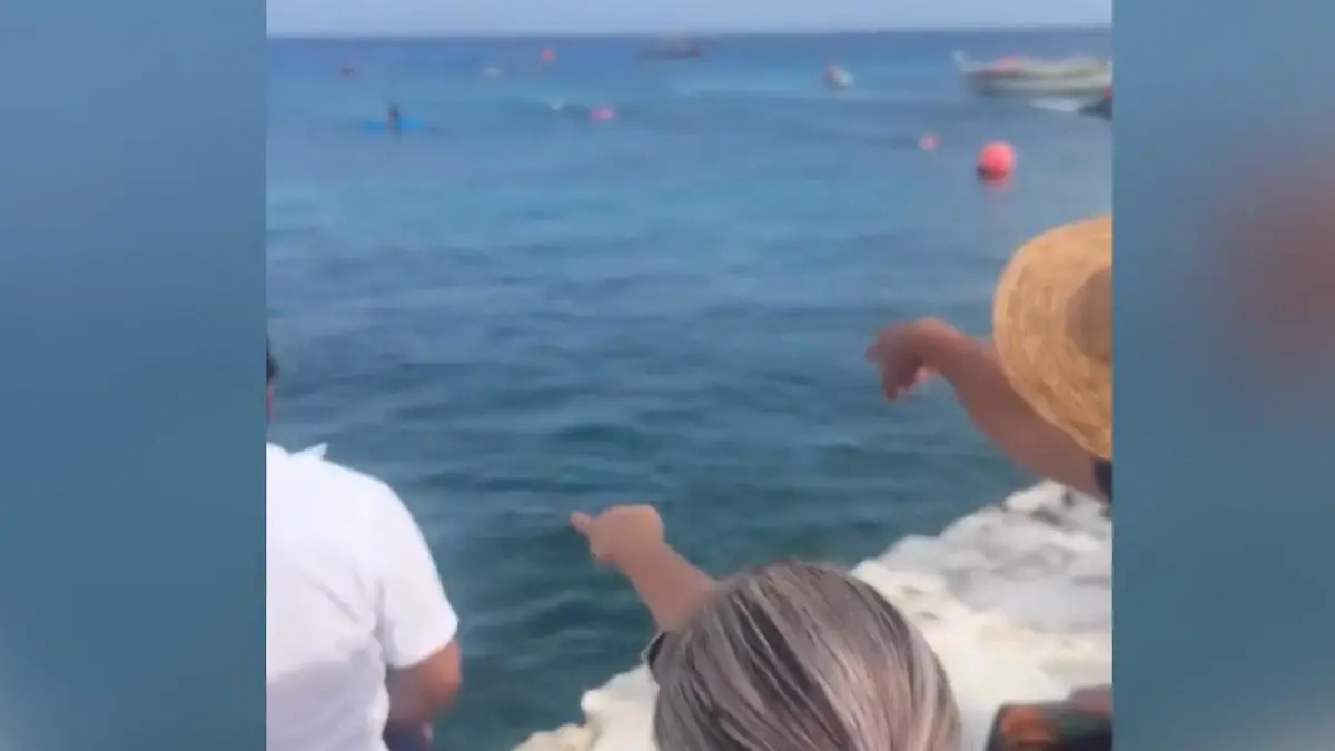 Riesenschock beim Kinderschwimmen! Plötzlich taucht ein Krokodil auf Eltern in Panik