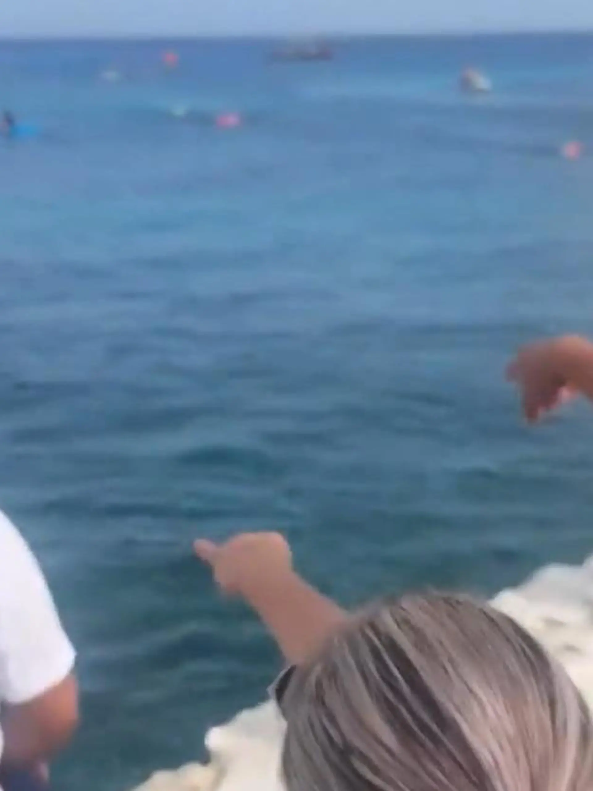 Bild zu: "Riesenschock beim Kinderschwimmen! Plötzlich taucht ein Krokodil auf"