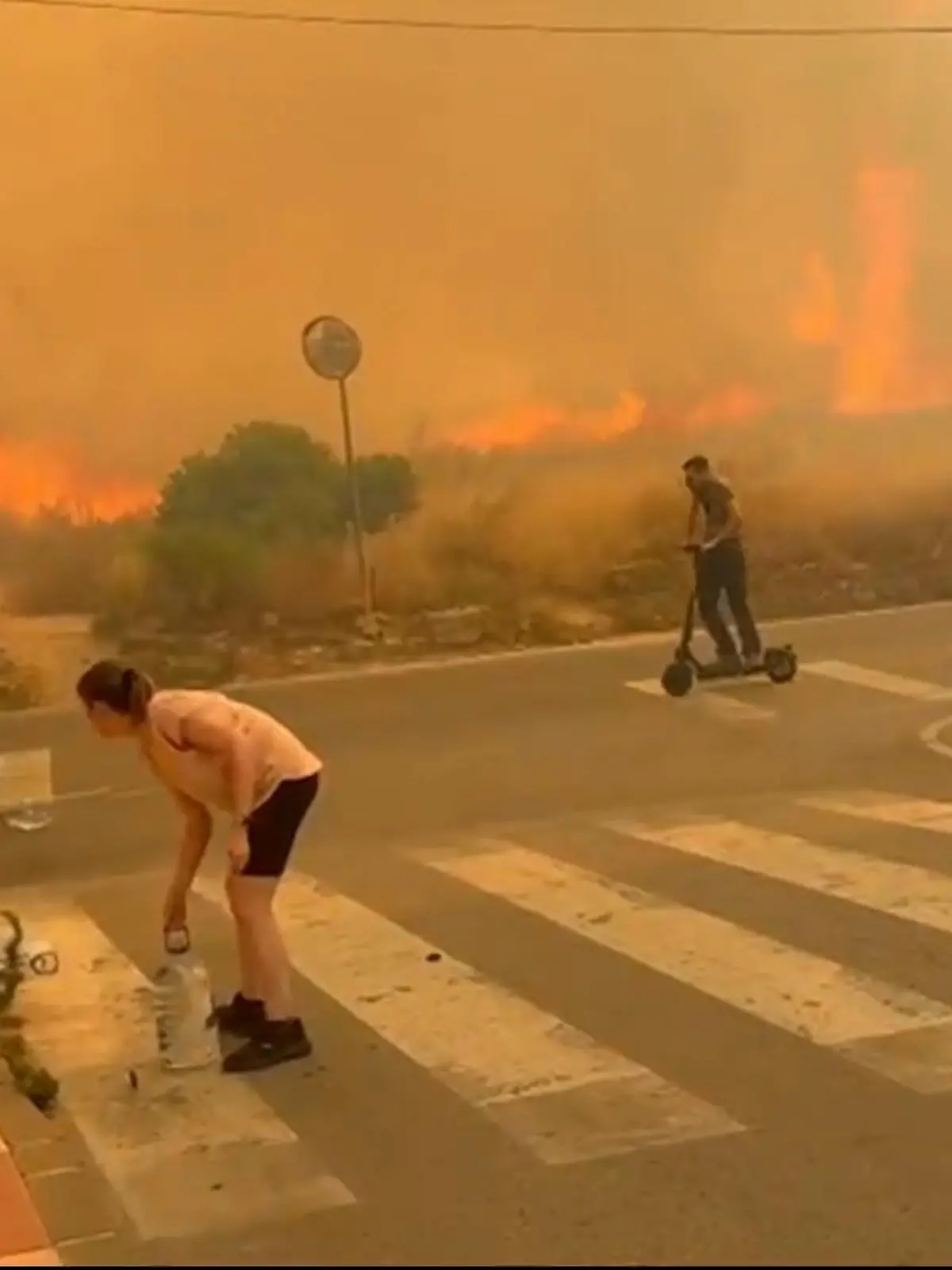 Bild zu: "Waldbrand verwüstet beliebte Urlaubsregion"