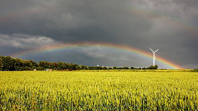 Wetter am 5. Juni 2026: Schauer, Gewitter und Nebel